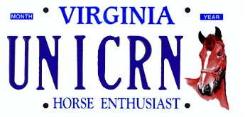 Ford Bronco Custom vanity license plate for Bronco? 1649048835857