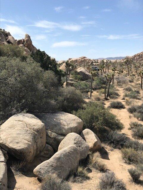 Ford Bronco Bronco Team 2 door. JoshuaTree