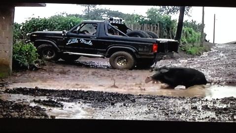 Ford Bronco Have a name / nickname for your Bronco? 63612da11ccd82d7caef26d0cf13a970_large