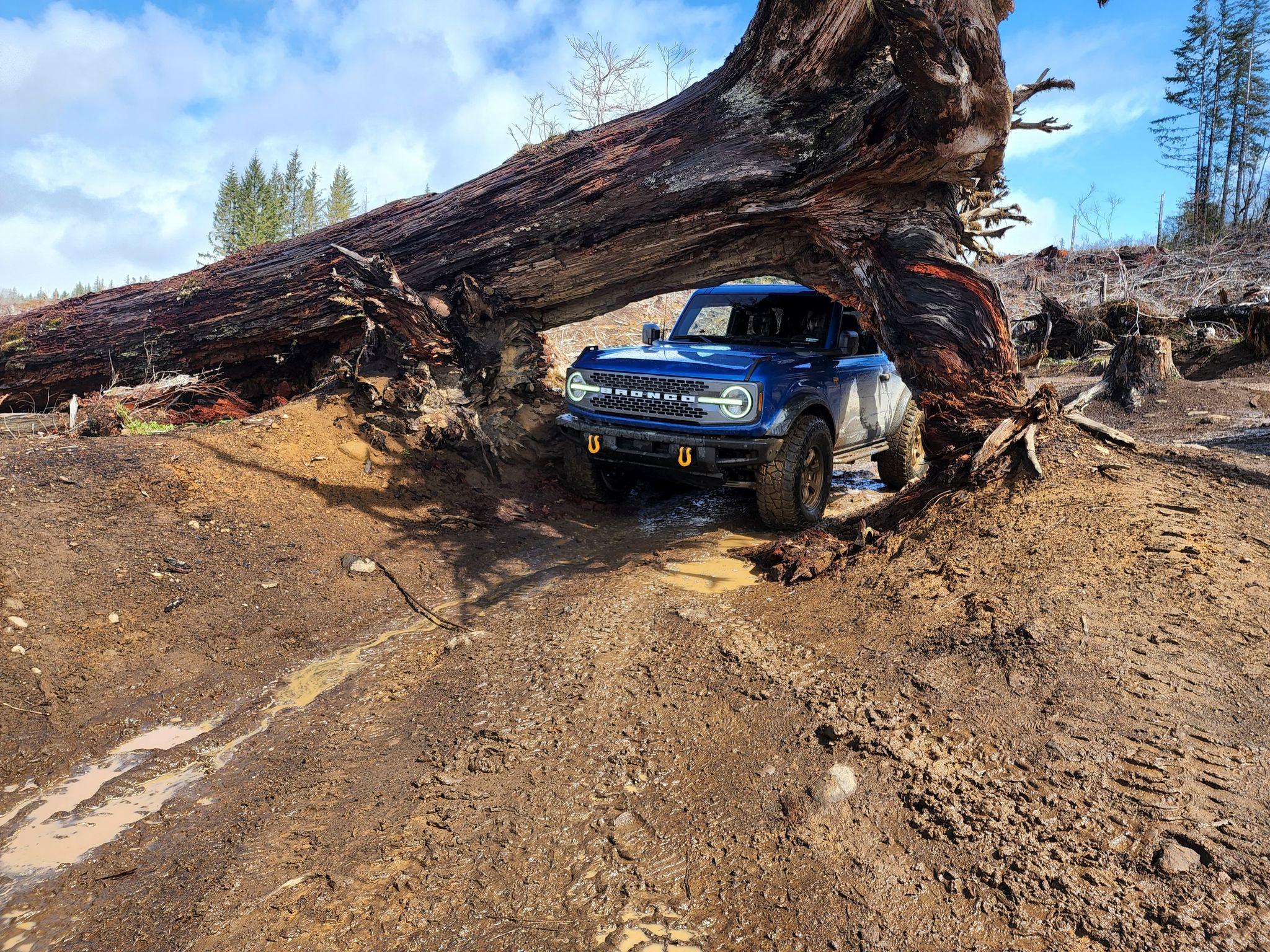 Ford Bronco 3 Badlands earn a BoH at Tillamook Forest 277312159_681321419808140_2086226029149748386_n