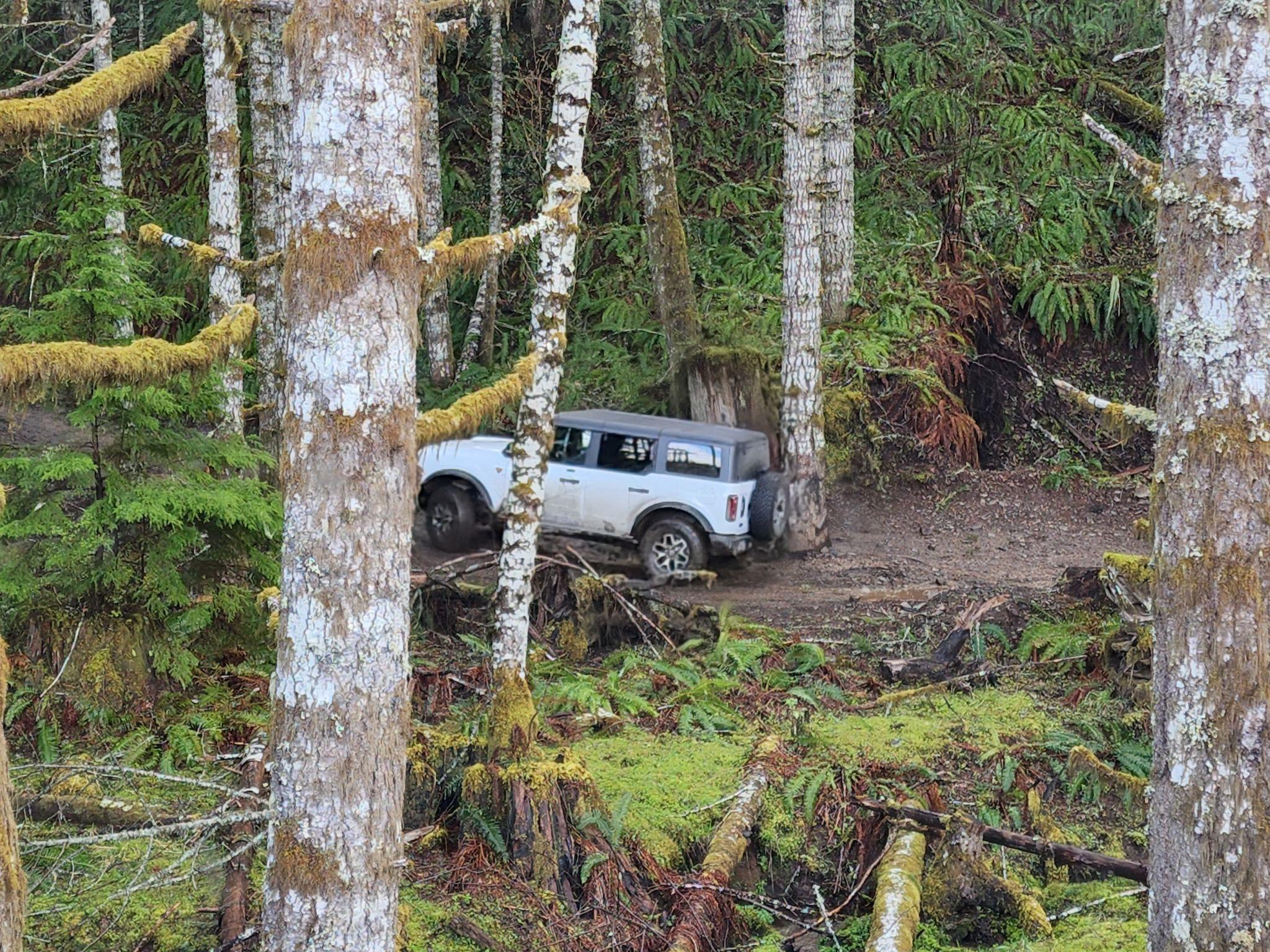 Ford Bronco 3 Badlands earn a BoH at Tillamook Forest 277367389_1361428177714084_5846997151839567787_n