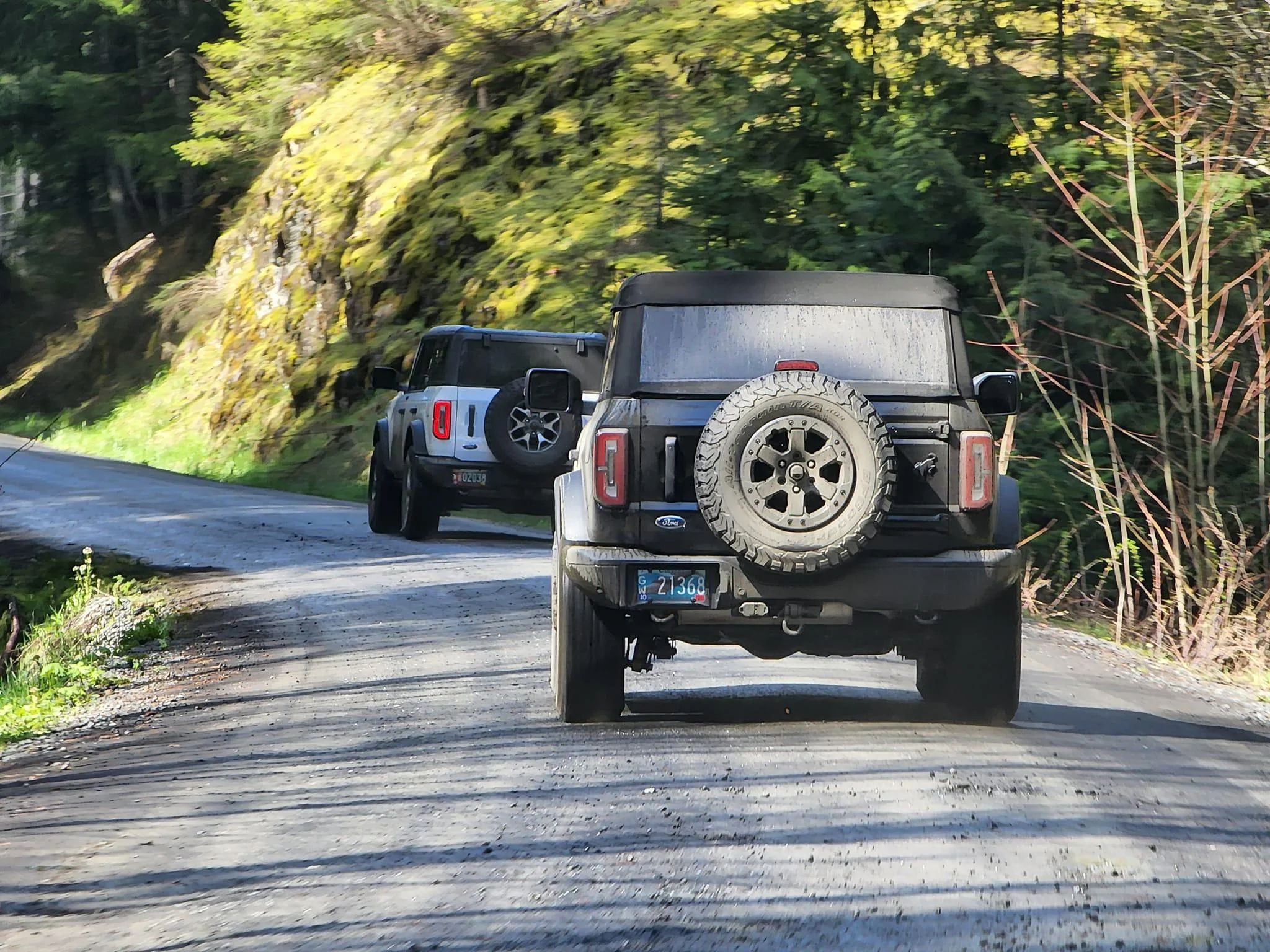 Ford Bronco 3 Badlands earn a BoH at Tillamook Forest 277755537_7203919006346865_5970861831652619954_n