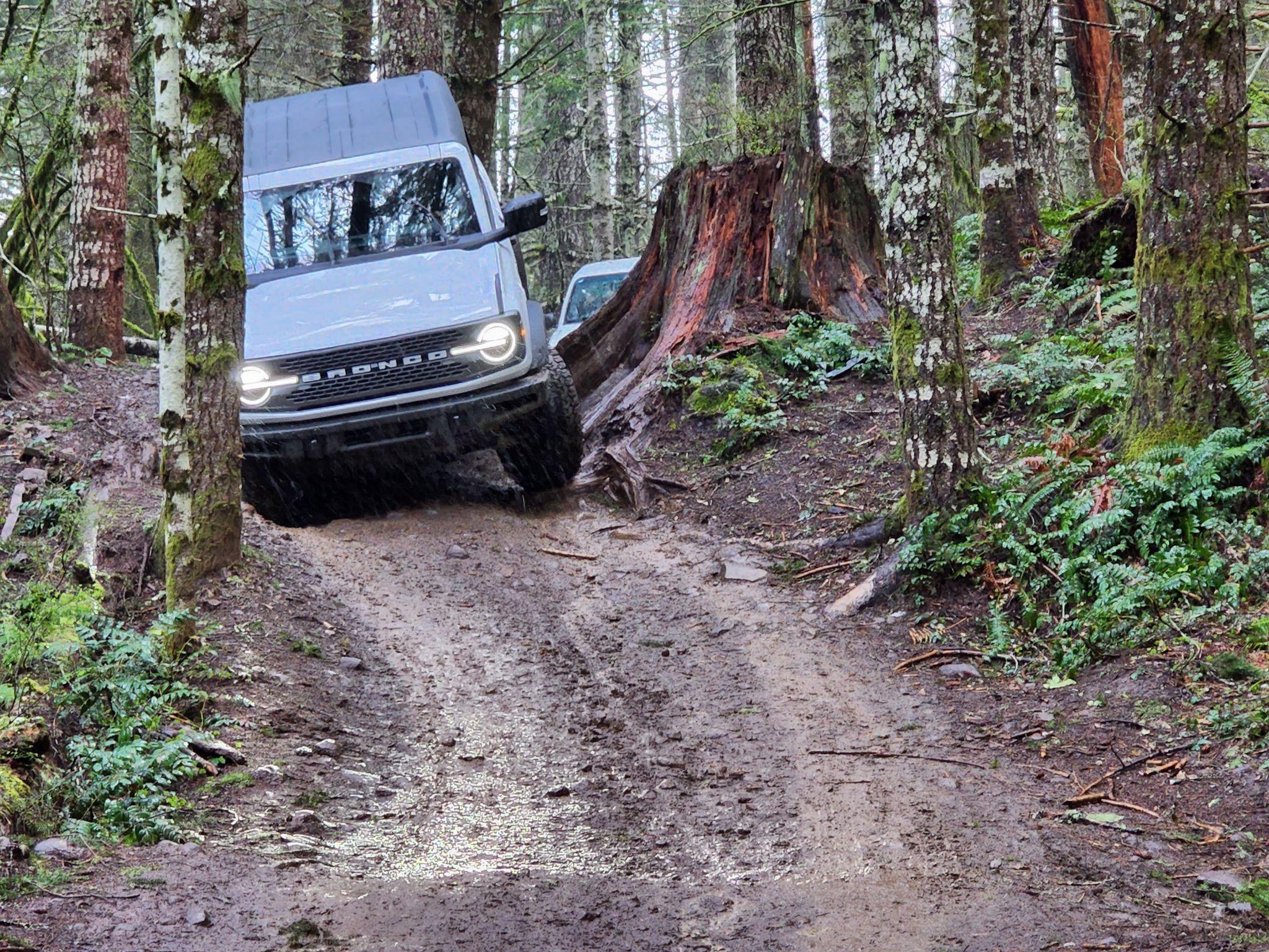 Ford Bronco 3 Badlands earn a BoH at Tillamook Forest 277900167_469487621620338_4396941513662341462_n