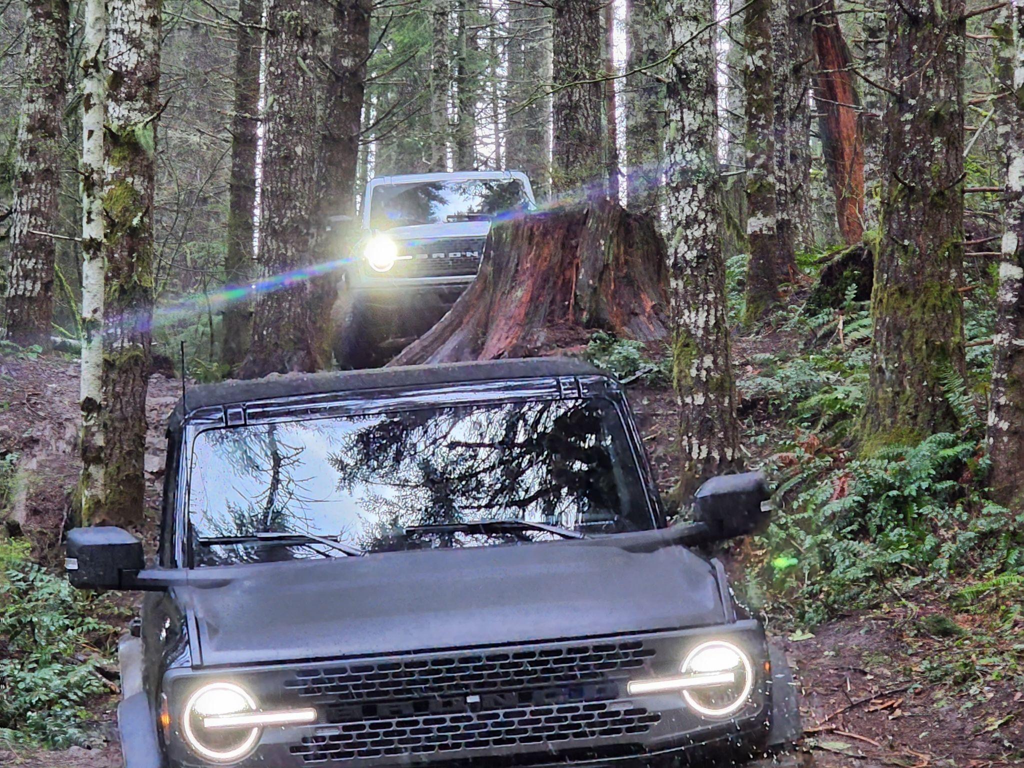 Ford Bronco 3 Badlands earn a BoH at Tillamook Forest 278095179_1372280716577260_8967958341047227734_n