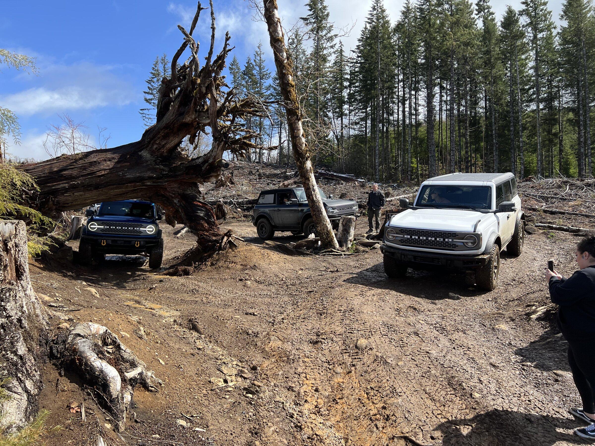 Ford Bronco 3 Badlands earn a BoH at Tillamook Forest 41886FBB-6F90-47B4-B620-20D0738FE22B