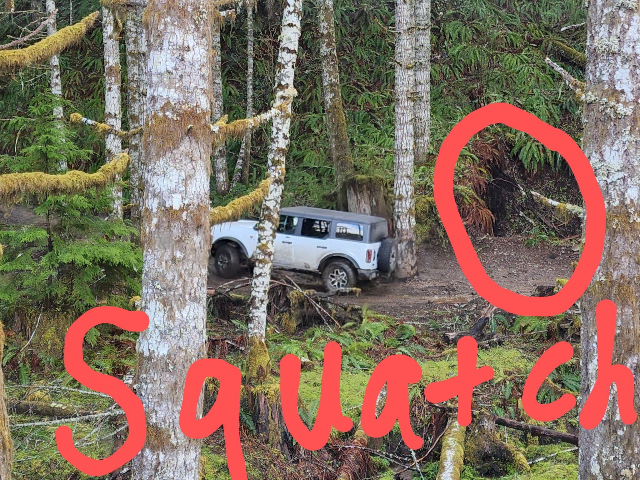 Ford Bronco 3 Badlands earn a BoH at Tillamook Forest 277367389_1361428177714084_5846997151839567787_n~2
