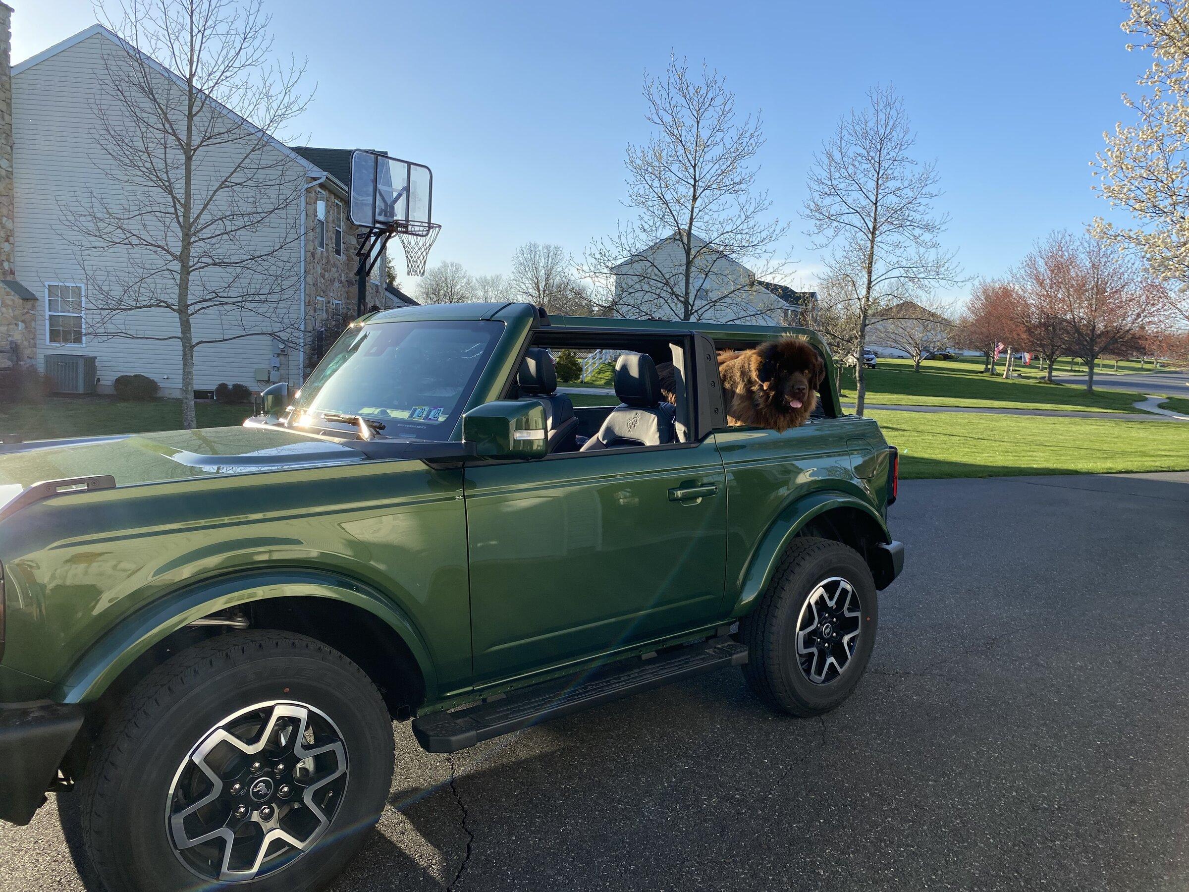 Ford Bronco Post Your Topless Broncos F78FF414-4252-485E-BD2D-F9A13DD5F0C8