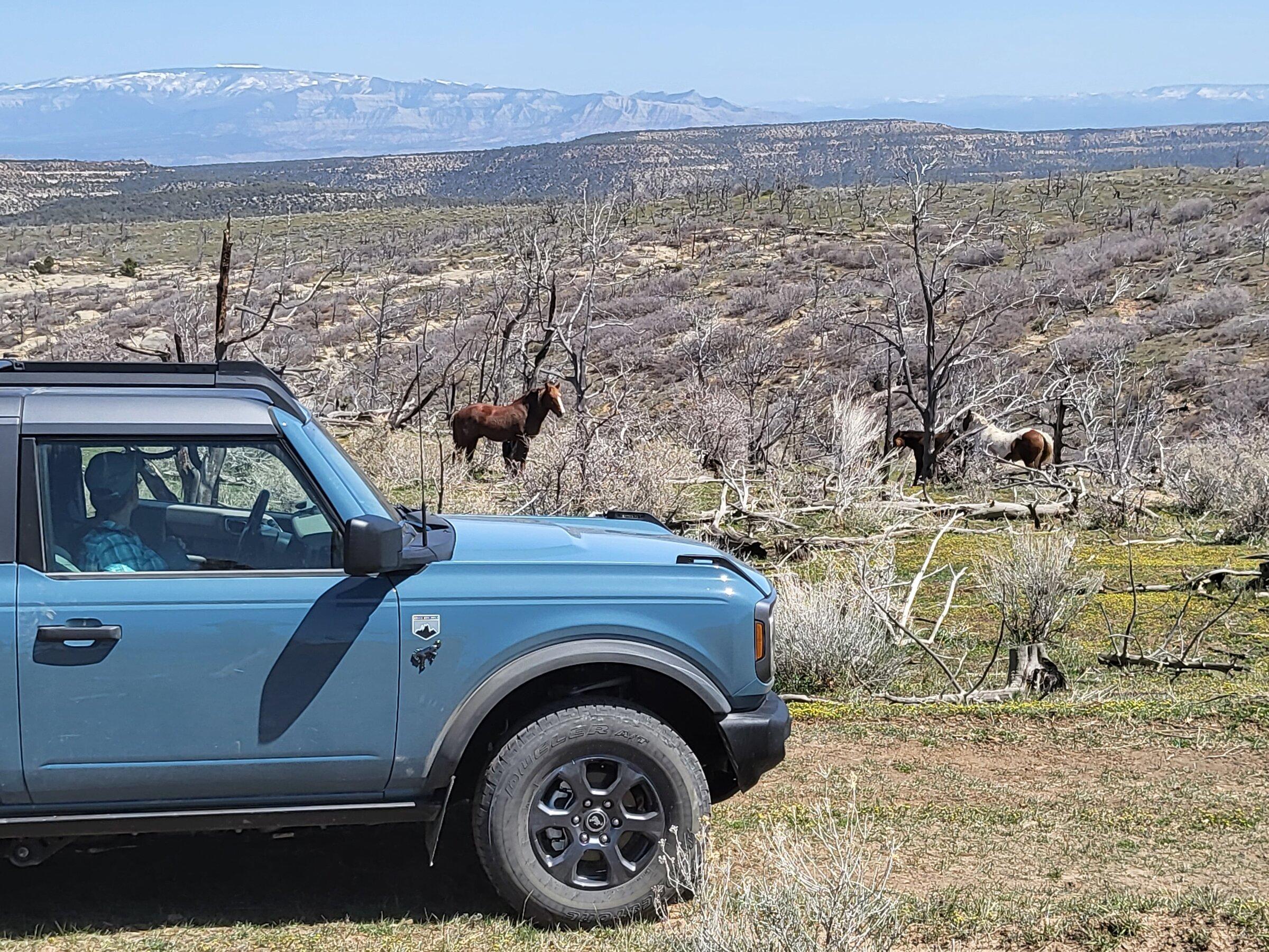 Ford Bronco What did you do TO / WITH your Bronco today? 👨🏻‍🔧🧰🚿🛠 20220418_133454