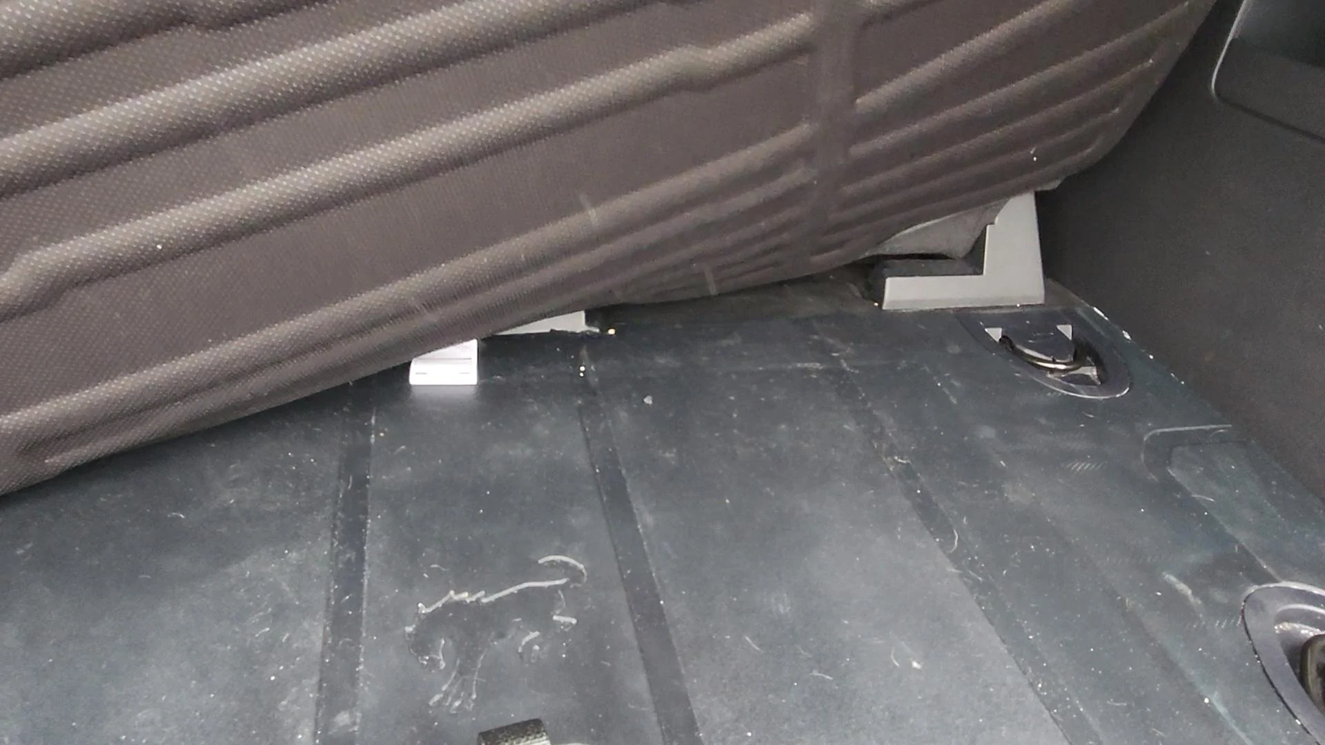 VideoCapture_20220421-124734.webp