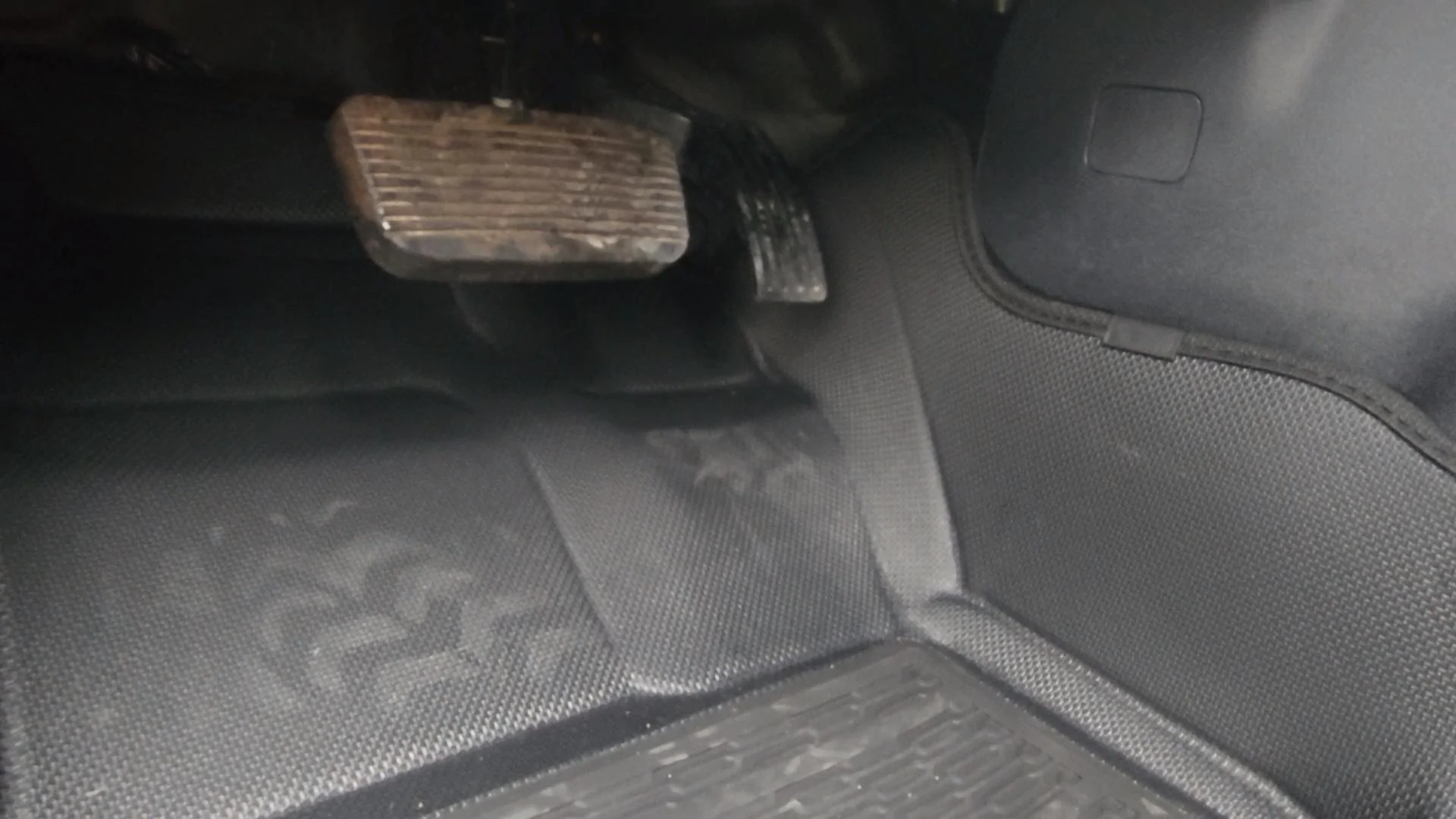 VideoCapture_20220421-124750.webp