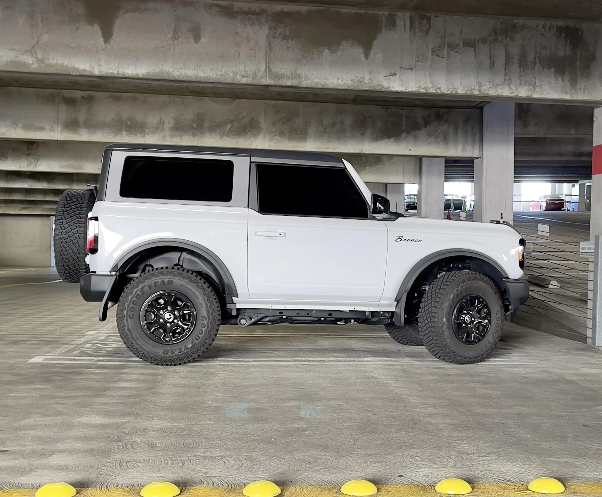 IMG_9550.jpg