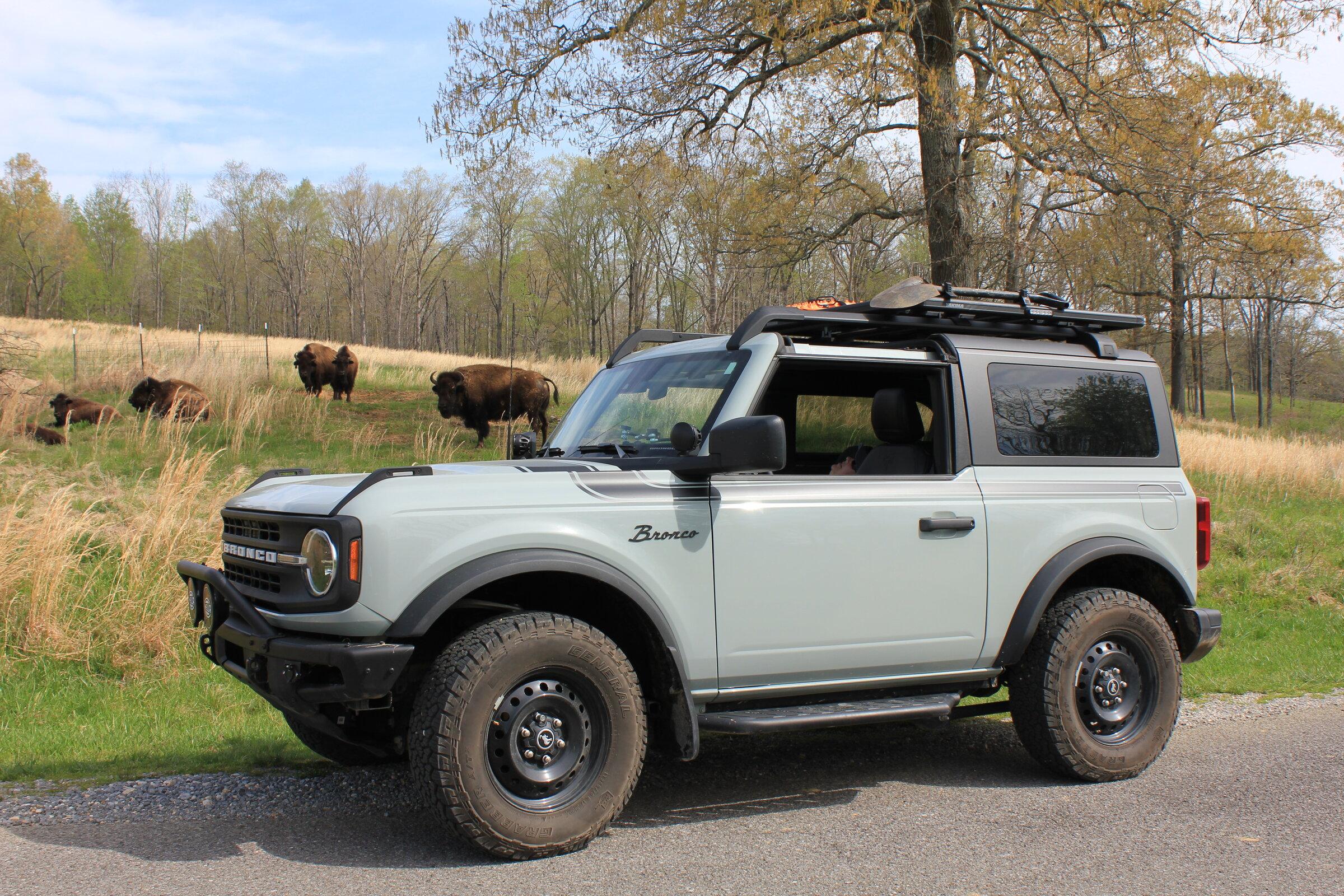 Ford Bronco What did you do TO / WITH your Bronco today? 👨🏻‍🔧🧰🚿🛠 6E4B2B01-5494-49A6-9B64-27F86C57796B
