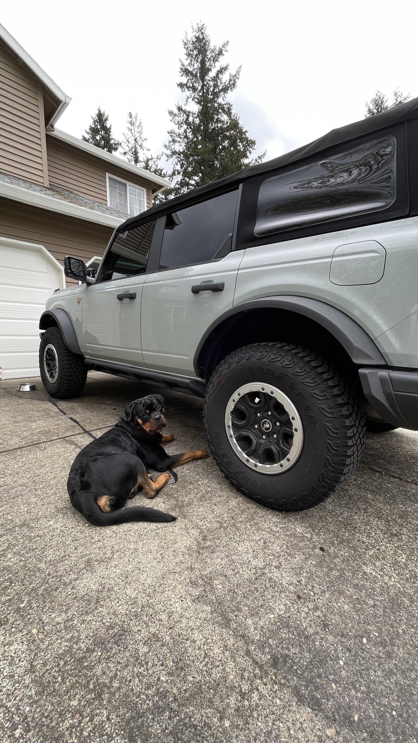 Ford Bronco What did you do TO / WITH your Bronco today? 👨🏻‍🔧🧰🚿🛠 0DB9922F-5289-42D4-B976-83567843437B