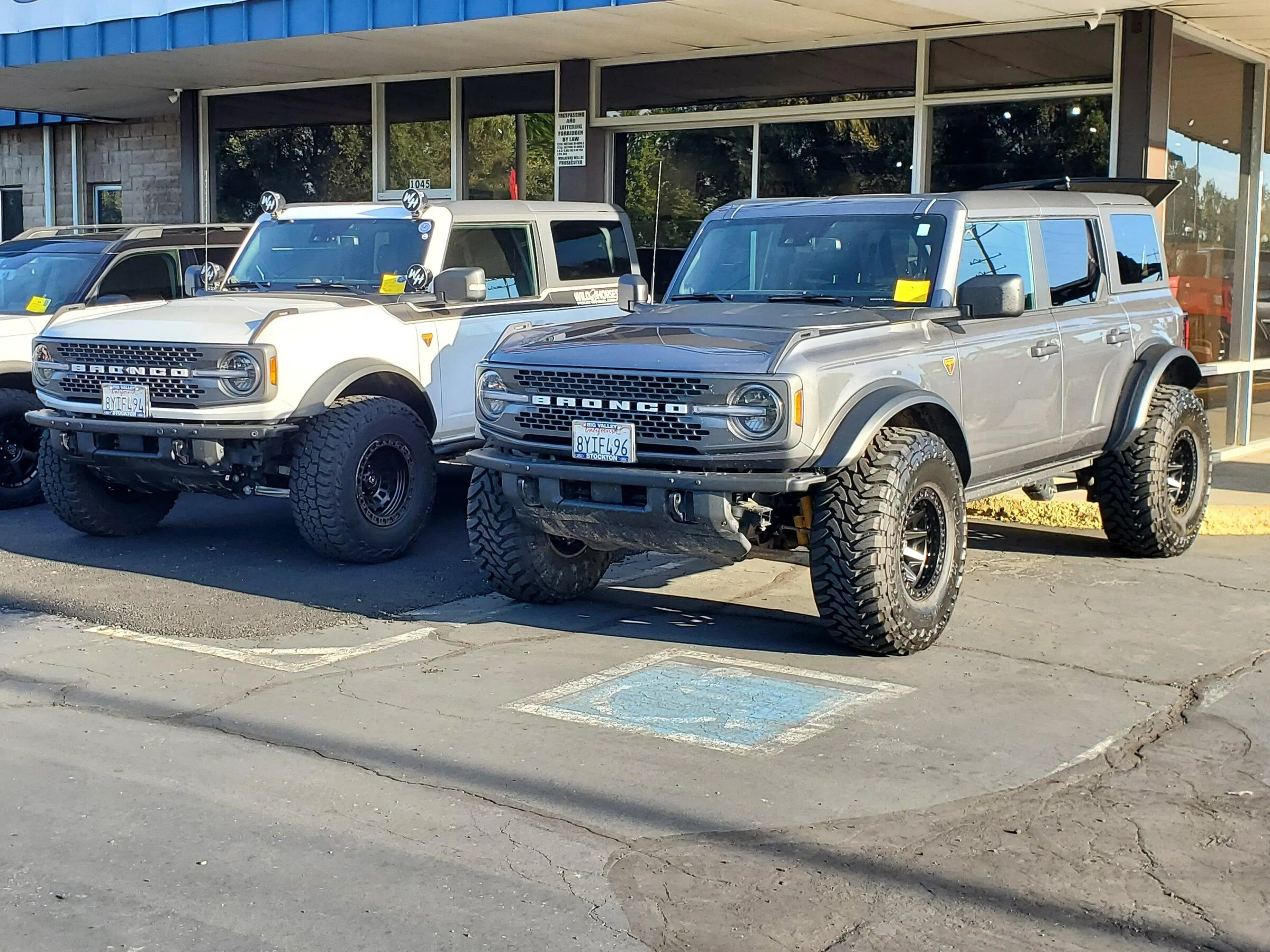 Ford Bronco Pics: Wild Horse Bronco Roundup Lodi CA 20220430_074941