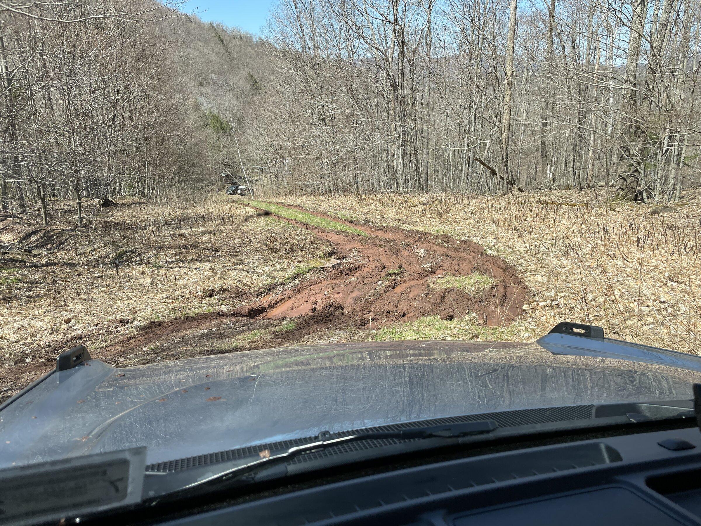 Ford Bronco G.O.A.T. Mode - Mud & Ruts - why 4H? 6EC63FFD-A2E5-4824-B60A-C21E56C9FE02