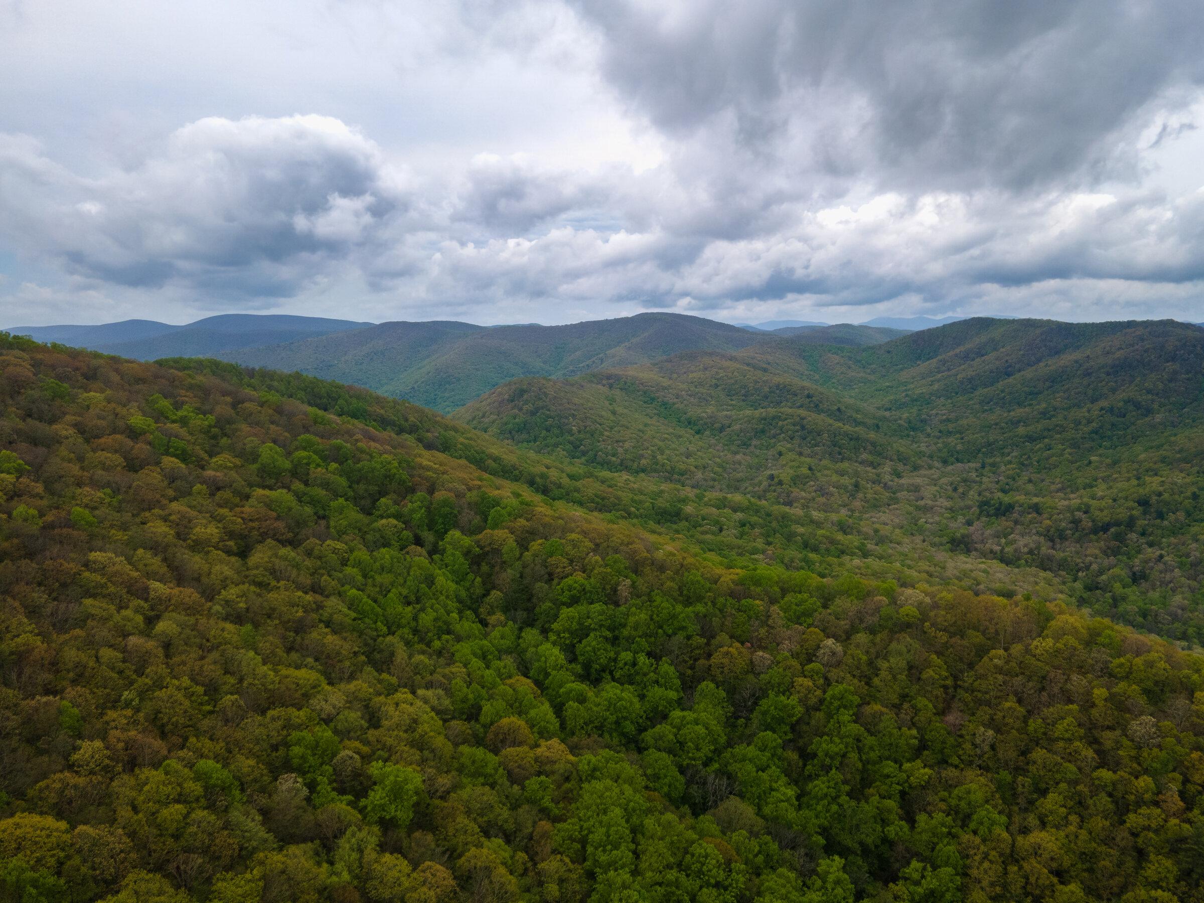 DJI_0454-2.jpg