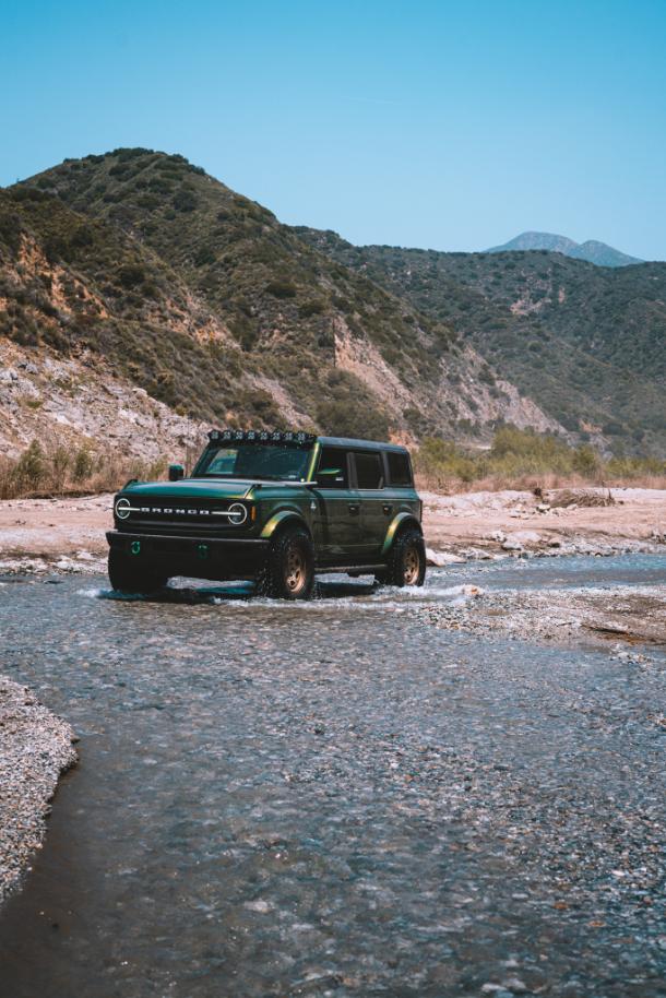 Bronco_-2.jpg