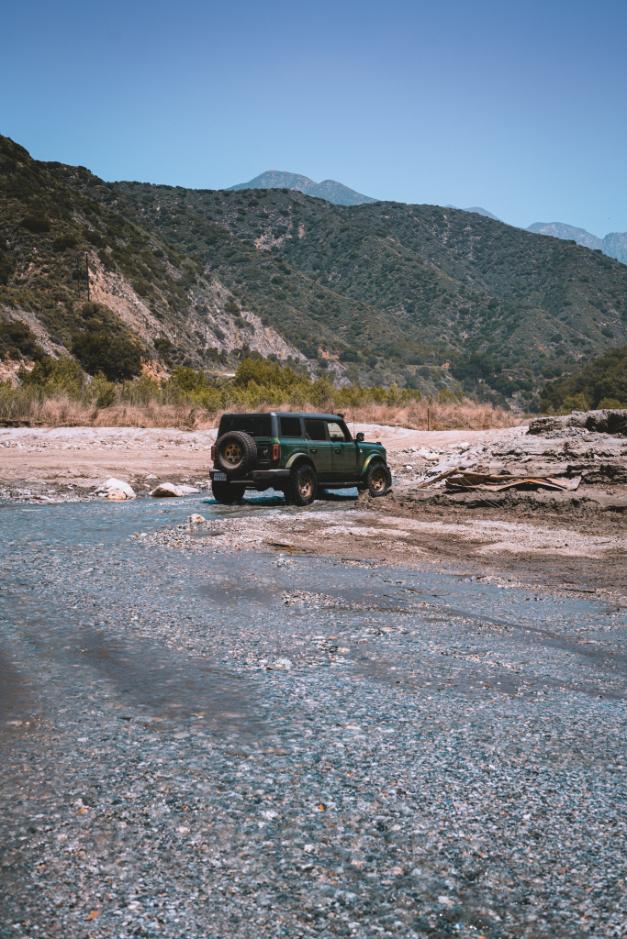 Bronco_-3.jpg