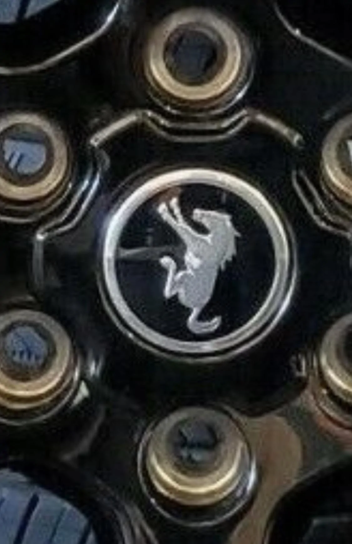Ford Bronco Removing/Replacing Center Caps on Stock Wheels? B664A903-5E1F-46C8-994C-CE9336331AA0
