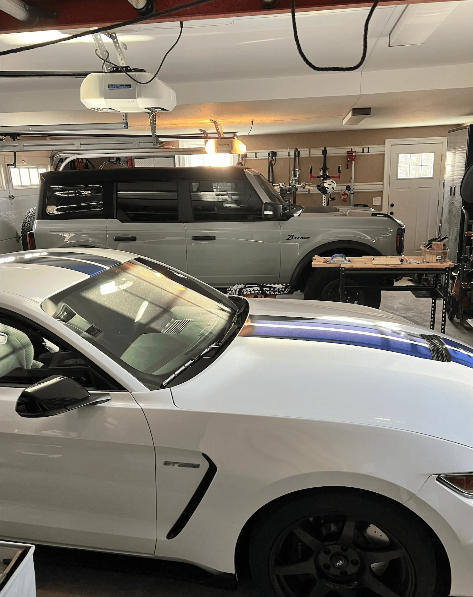 Ford Bronco Got both the ponies into their stable last night! stableponies