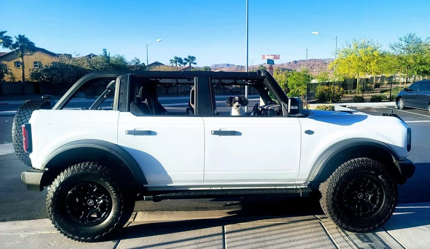 Ford Bronco Roll sport bars wrapped in gloss white C1F0192B-87B8-4015-9F74-6B0F6D927EF7