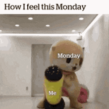 Ford Bronco 🛠 1/17/2022 Build week group monday-relatable