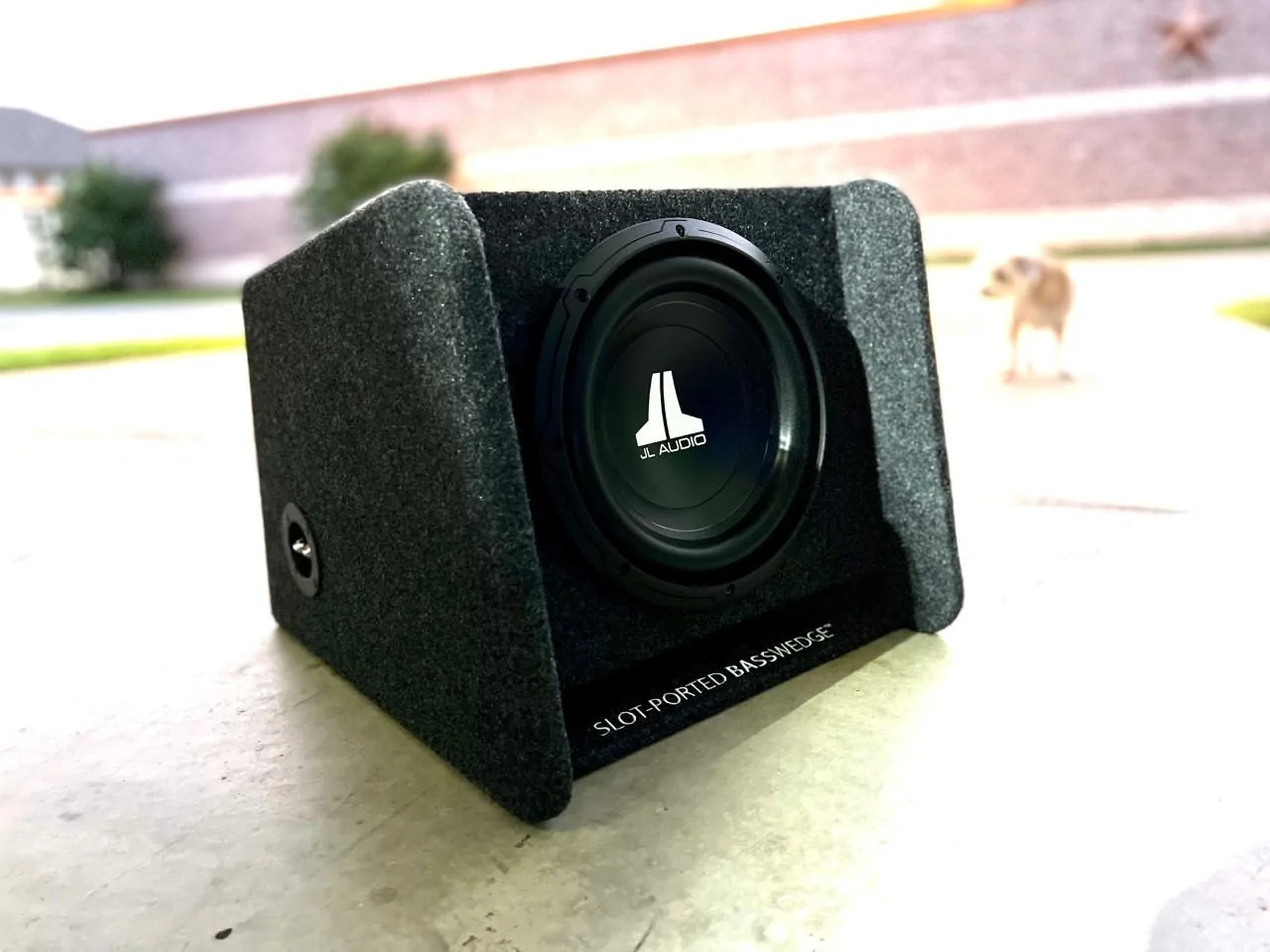 Ford Bronco JL Audio 10" Sub with Enclosure thumbnail_IMG_7473