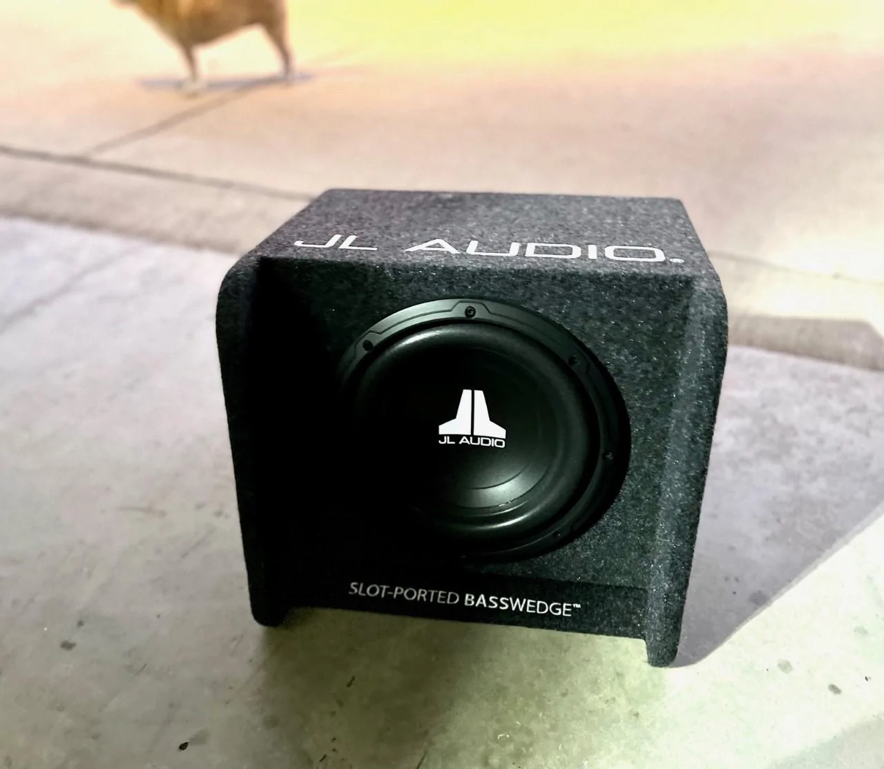 Ford Bronco JL Audio 10" Sub with Enclosure thumbnail_IMG_7471