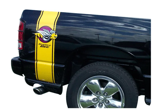 Ford Bronco First Edition will they be individually numbered? 1599250783130