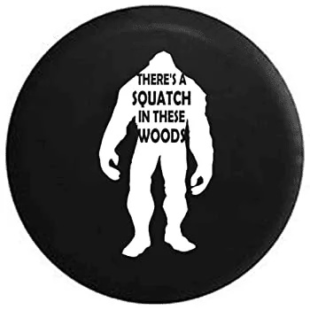 Ford Bronco Sasquatch Tire Cover 1599254826169