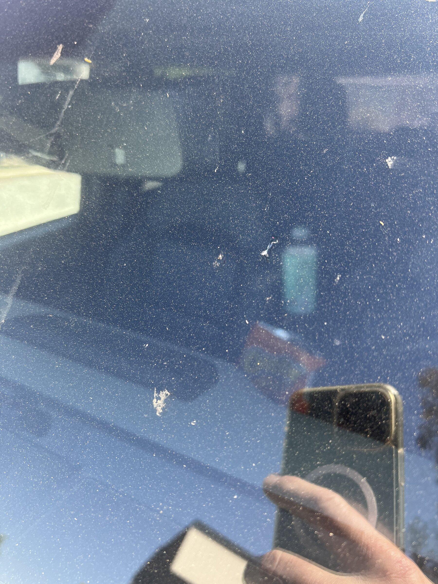 Ford Bronco TAKE MY WINDSHIELD POLL! BB223460-CBC1-4FF1-9375-290553390839