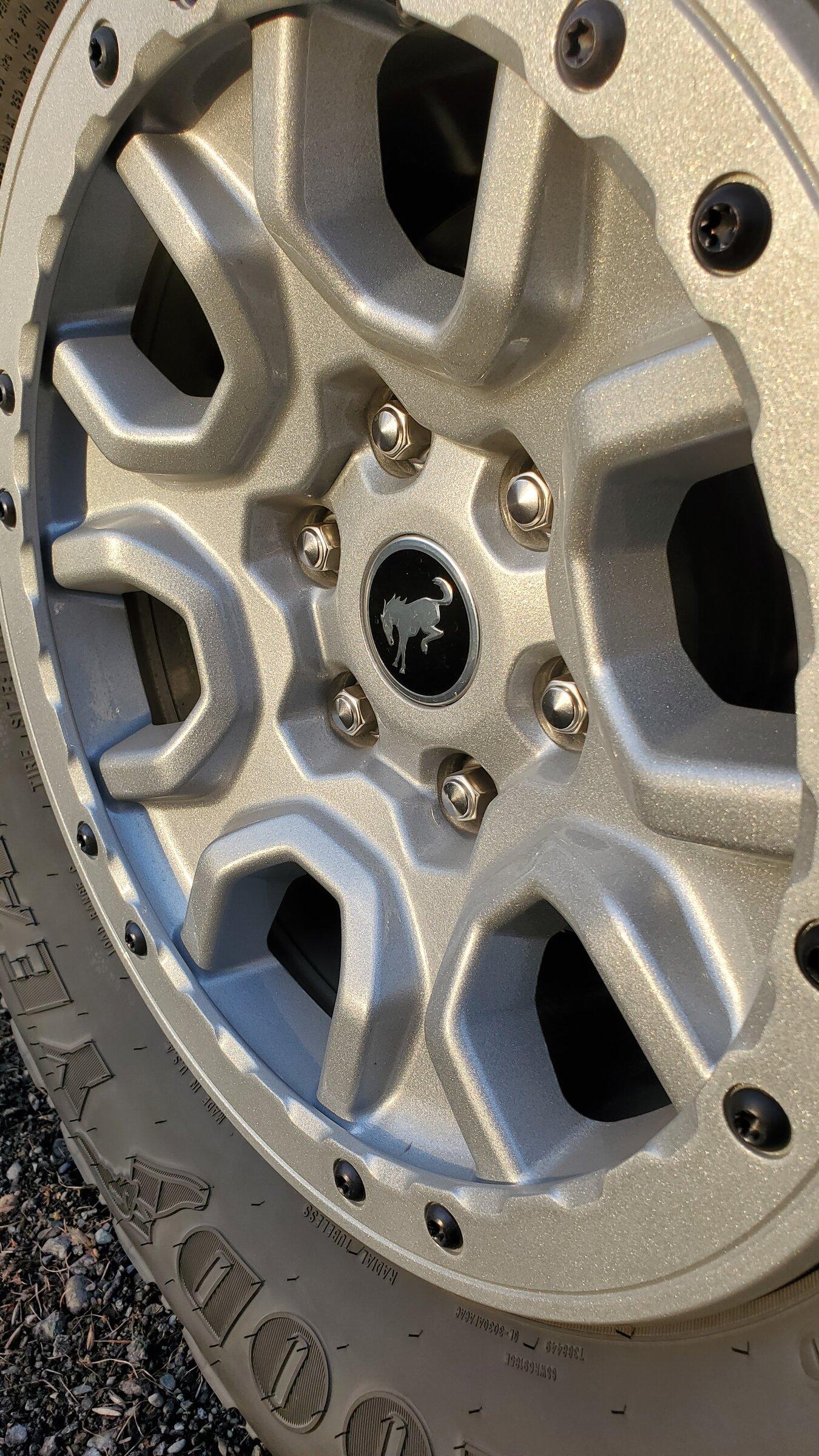 Ford Bronco Alaskan VB Sasquatch OBX journal 20220417_201434