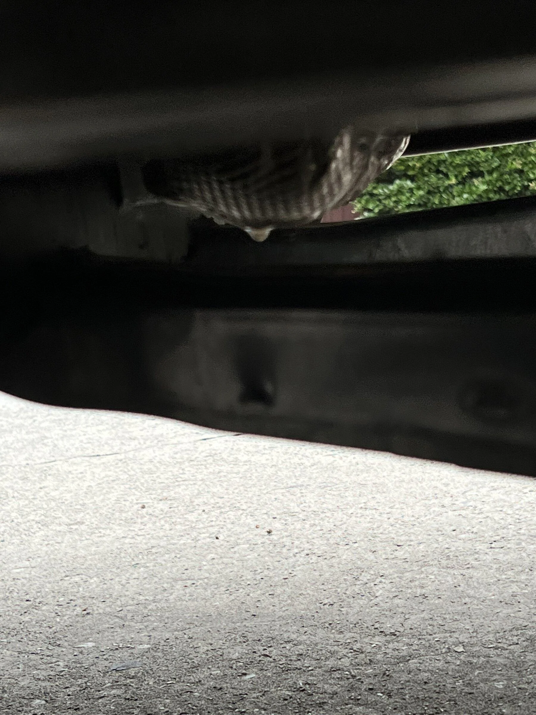 Ford Bronco Bronco leaking? B7E04766-89F5-4C53-B2CB-8E61F1A69E8A
