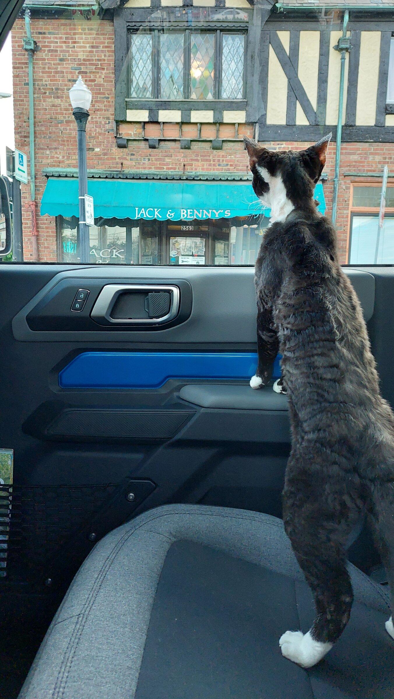 Ford Bronco The Cat Thread 20220522_200915