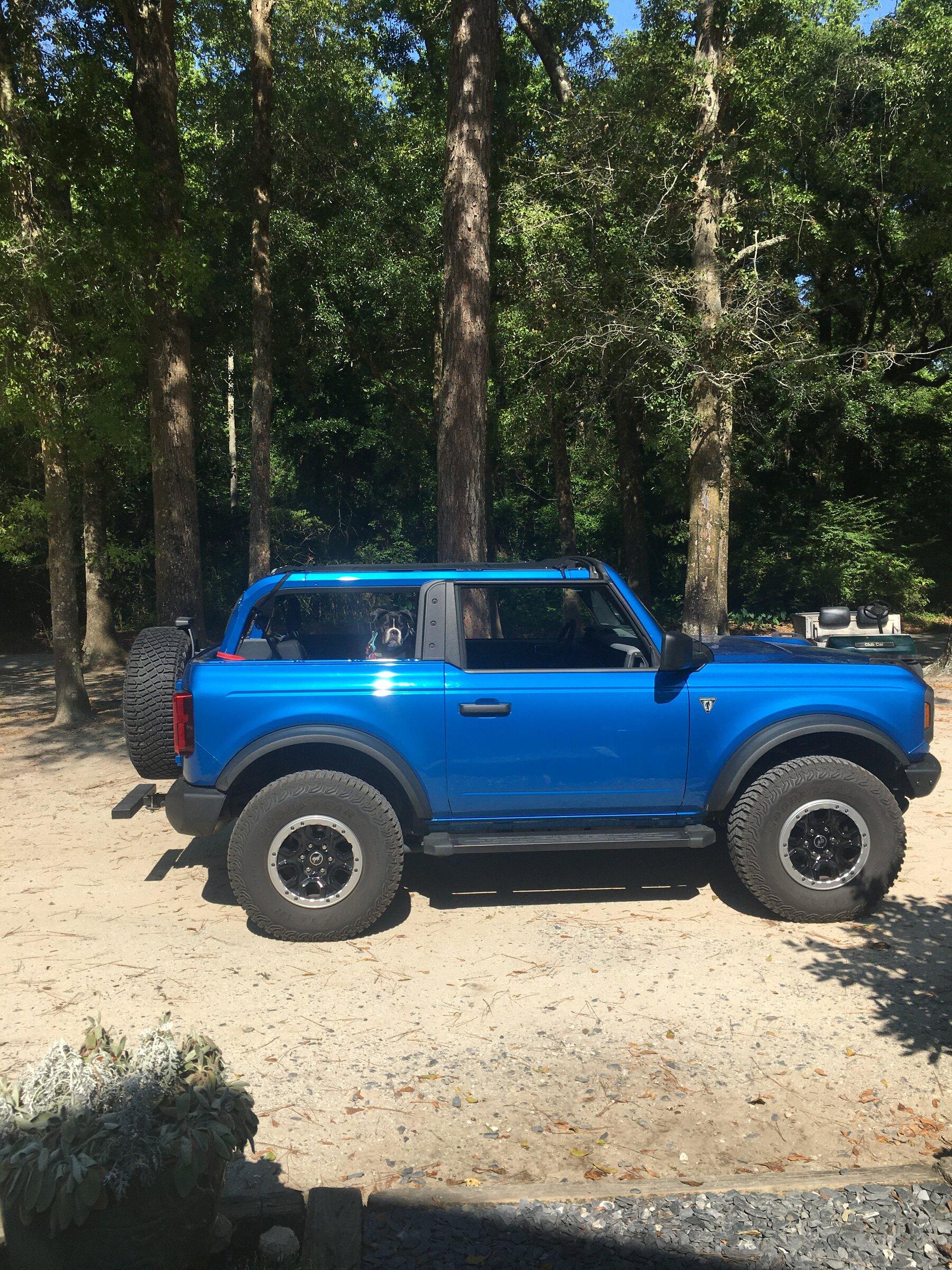 Ford Bronco Solid Bimini Top B.JPG