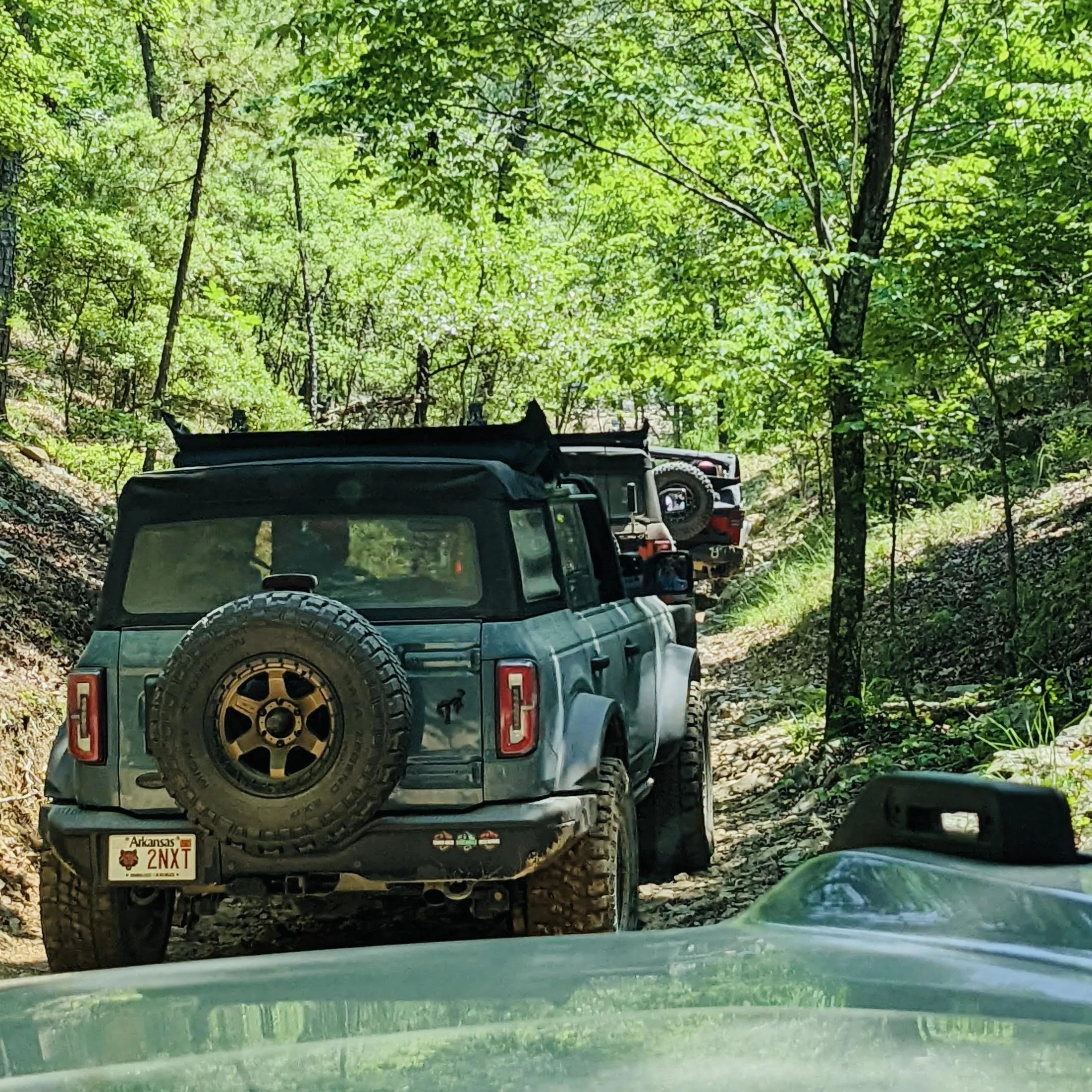 Ford Bronco Tooshie Tuesday! 6B3E4278-27E8-4A7D-957D-2C53405B3622