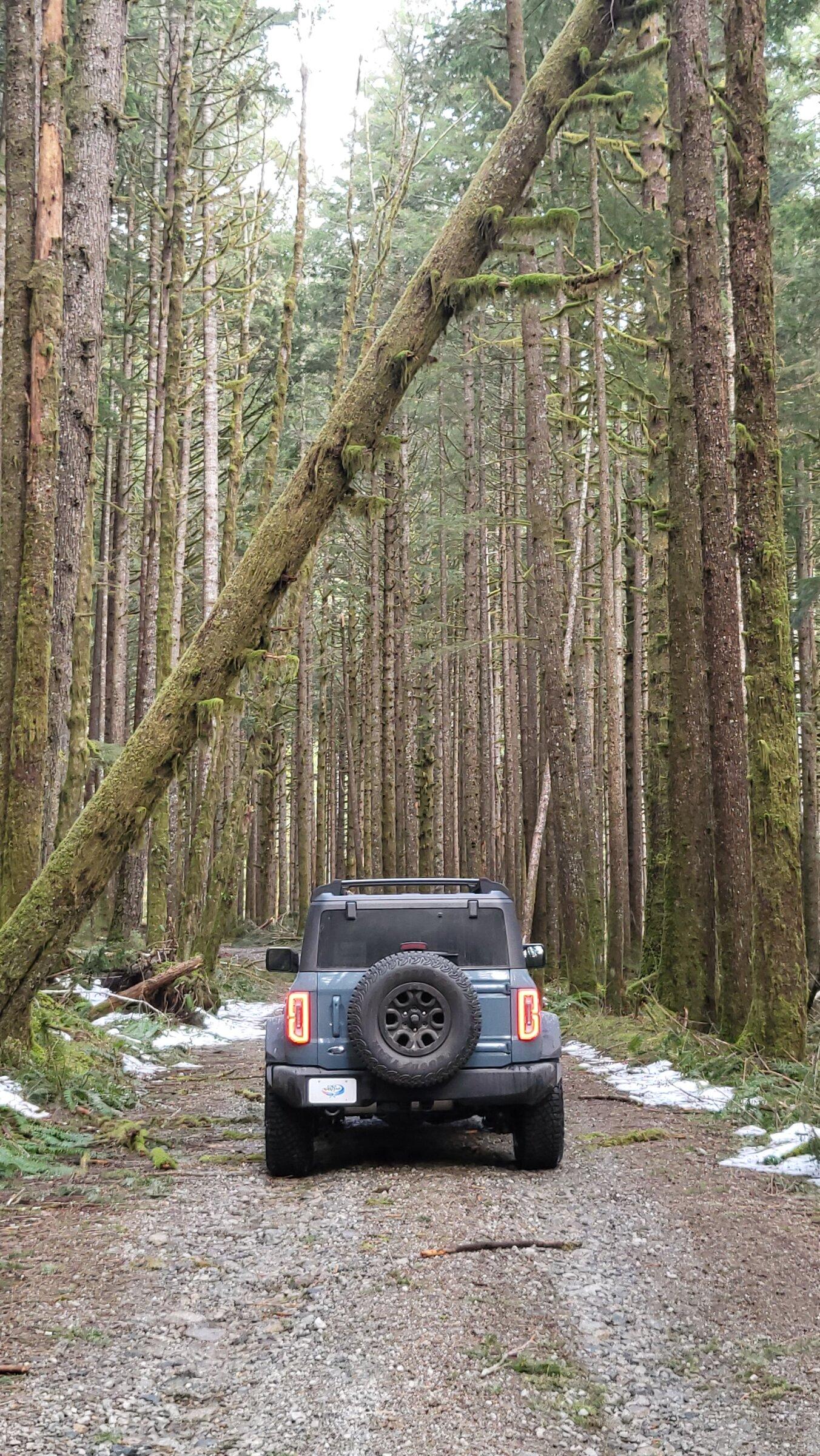 Ford Bronco Tooshie Tuesday! 20220213_152308