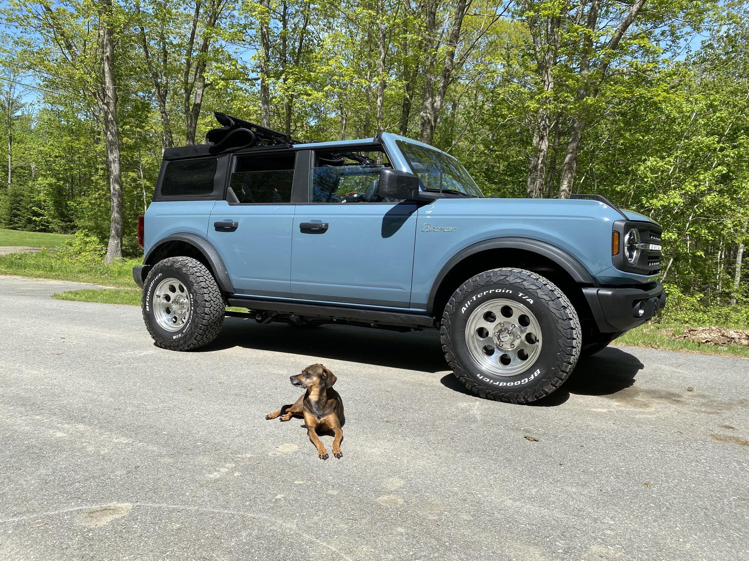 Ford Bronco Show 33's some love picture thread BroncoMacey