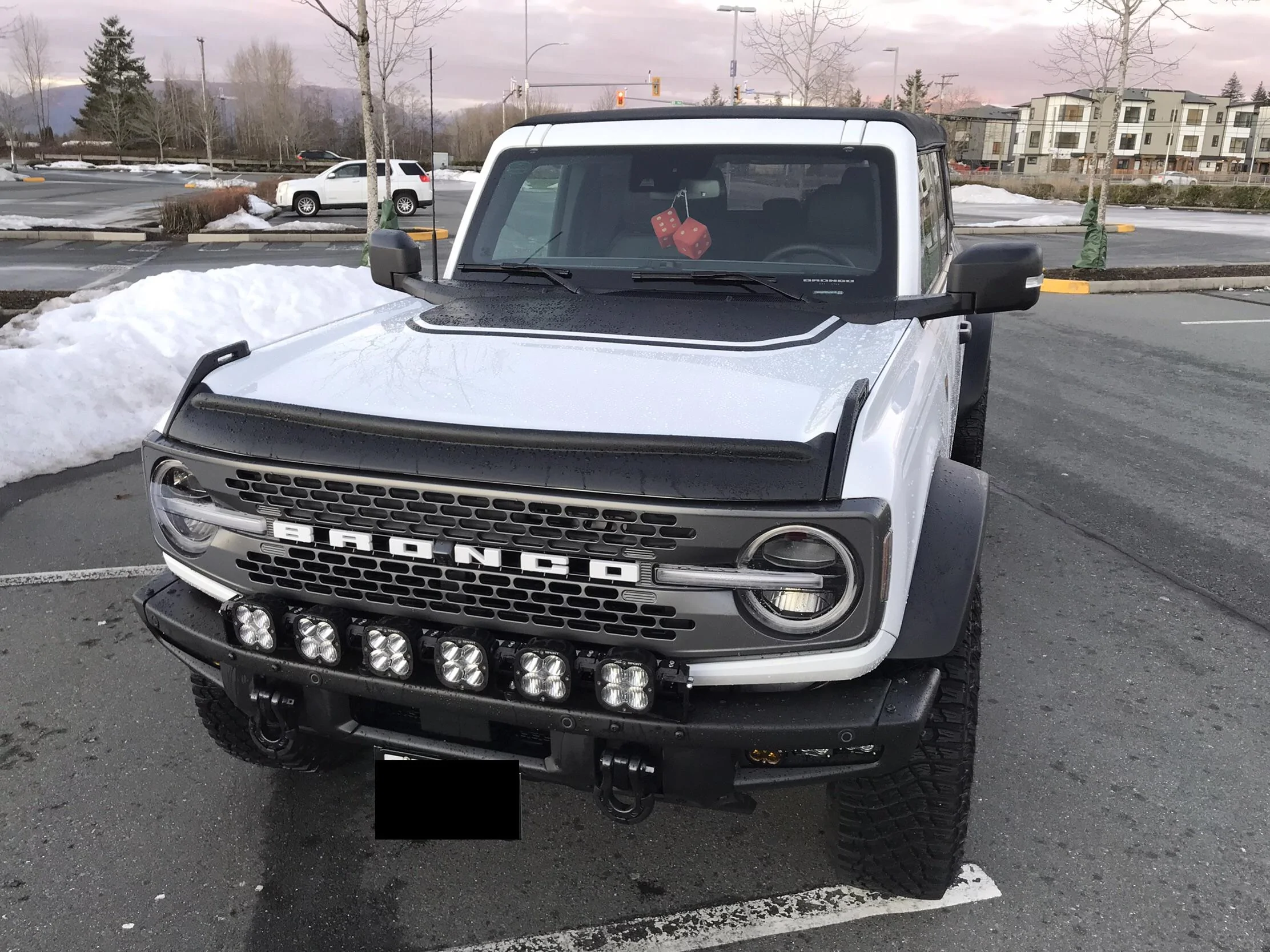 Ford Bronco Badlands and a Cricket E784909A-18D1-471B-A7CA-9C9A1C017E53_1_201_a