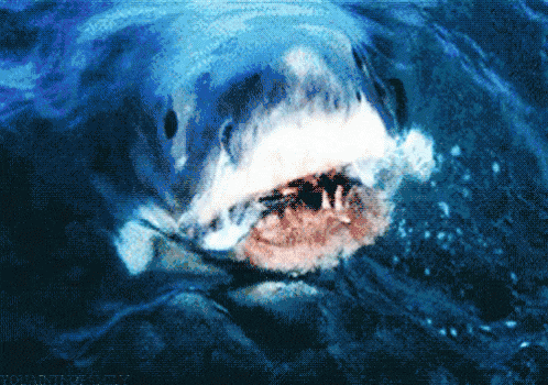 Ford Bronco New to the forum. Here’s Newt w/ WWII inspired shark teeth graphic! jaws-shark