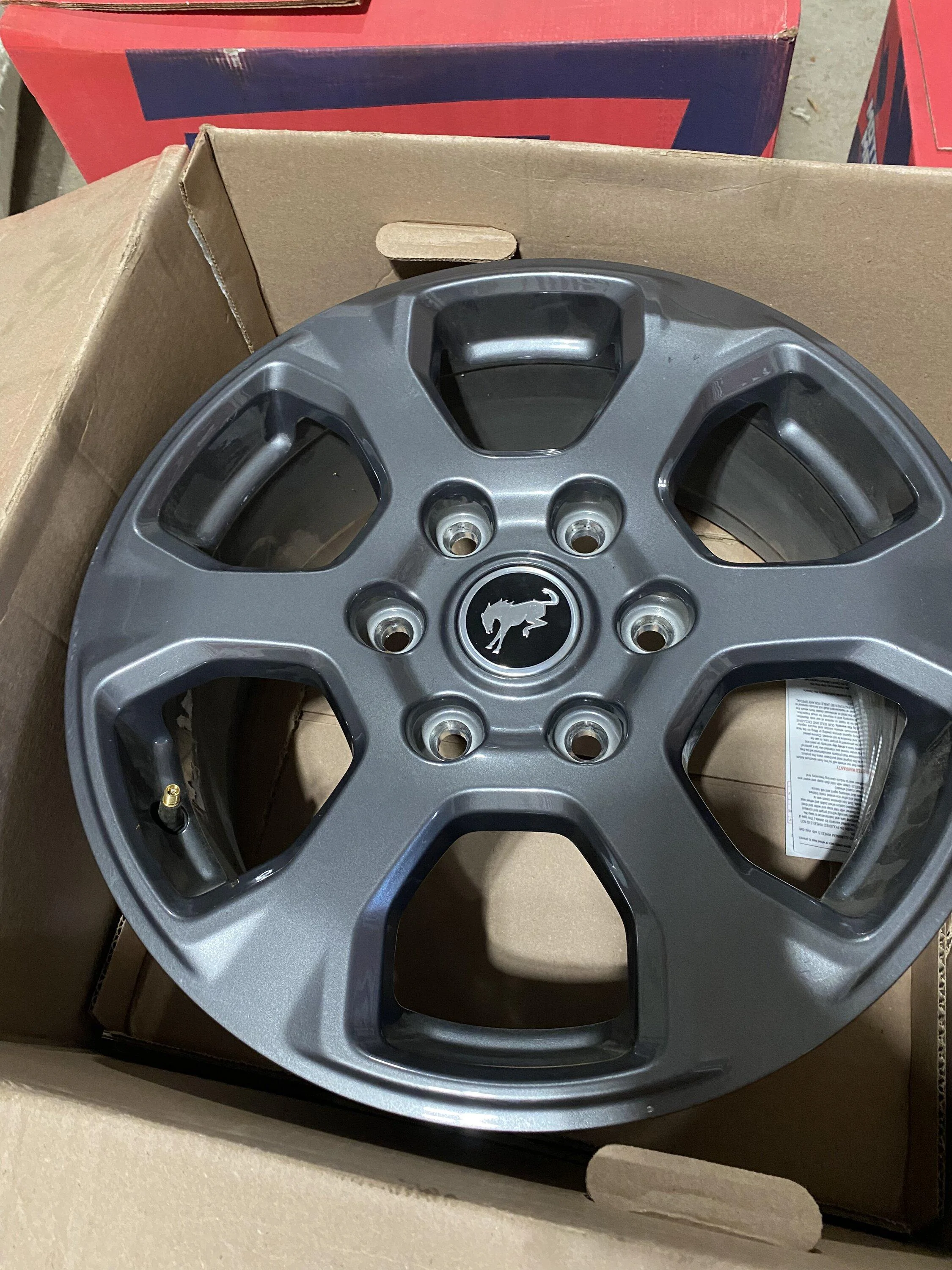 Ford Bronco 5 Big Bend wheels, $400 plus shipping 83E095F1-01B3-48B3-9C67-F28277957981