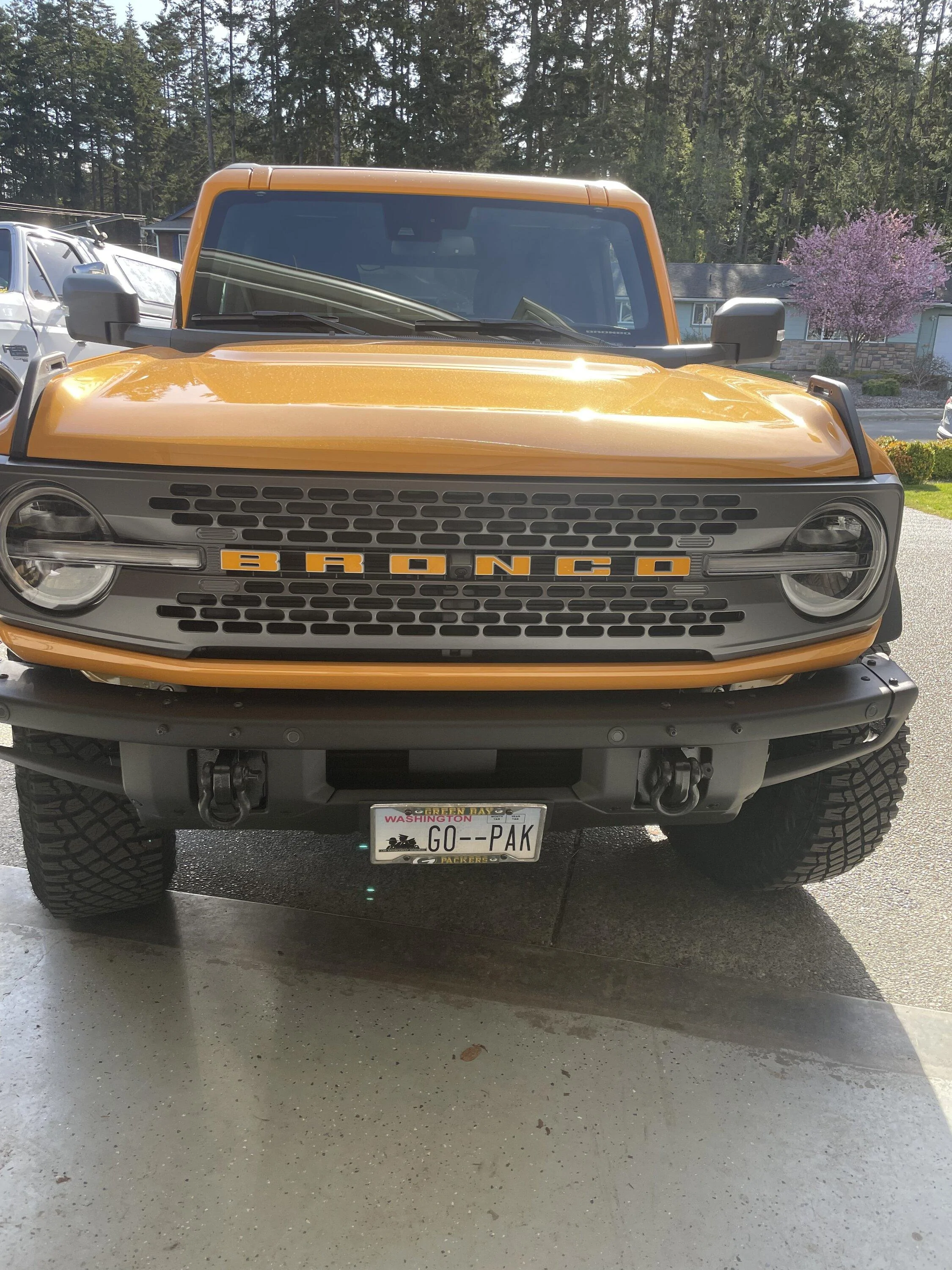 Ford Bronco Pepe Getting Plastic Surgery - It never truly ends tempImageVcwjAa