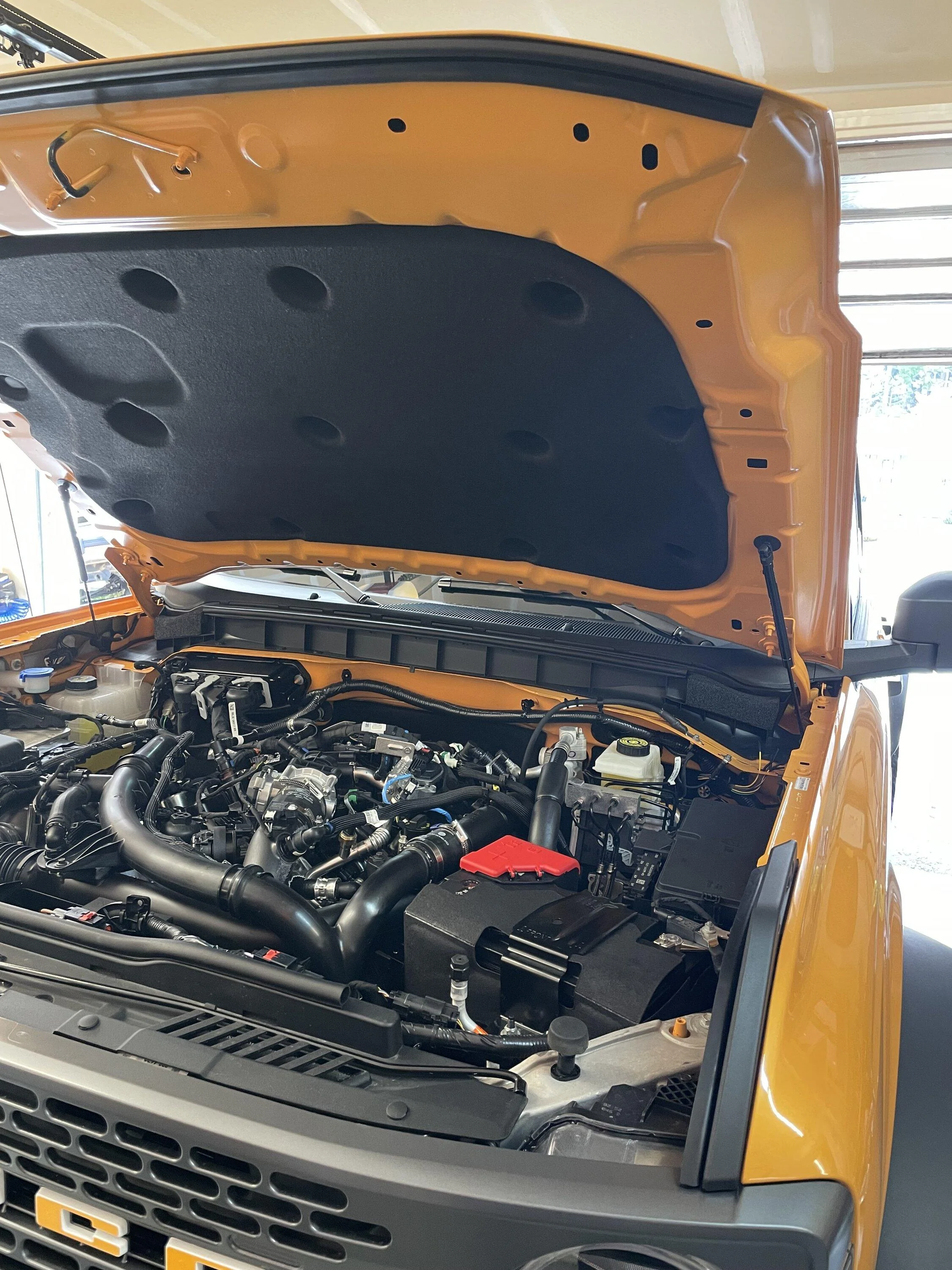 Ford Bronco Pepe Getting Plastic Surgery - It never truly ends tempImageyAvB2G