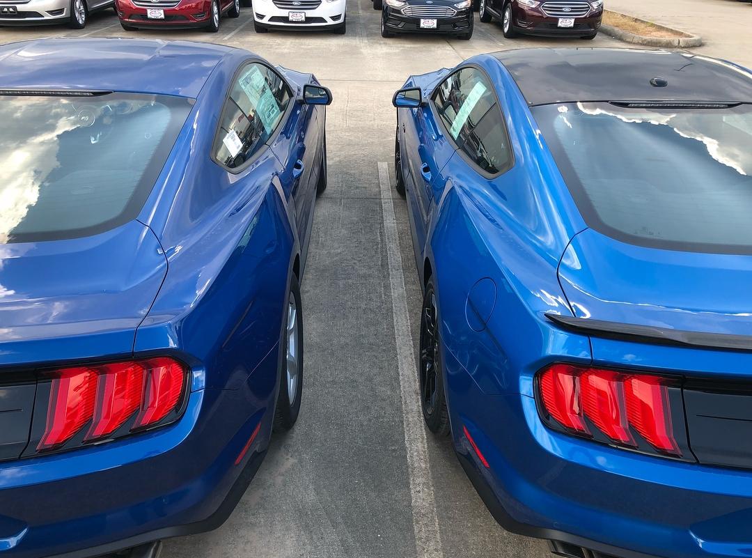Ford Bronco Velocity Blue Metallic thread mustang comparison