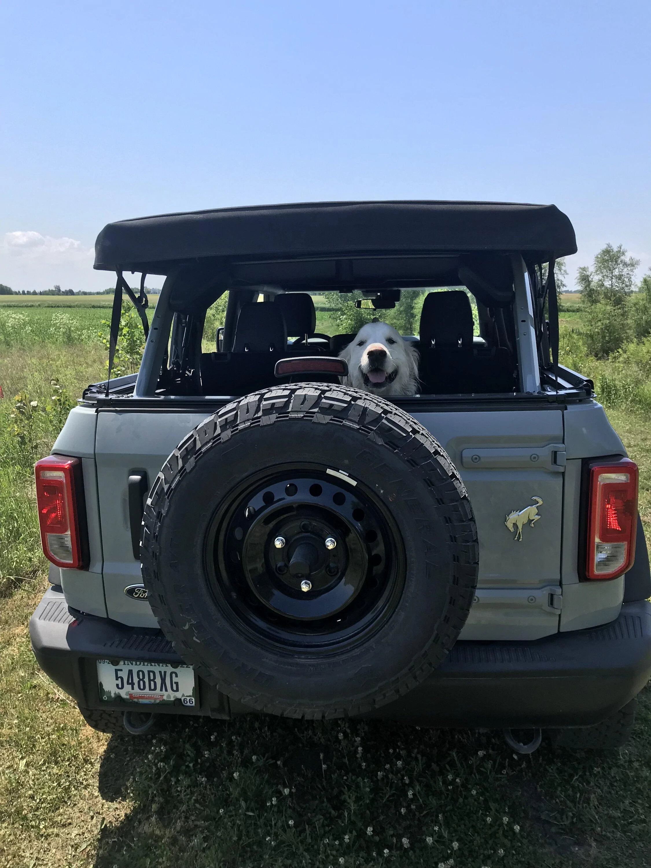 Ford Bronco Ultimate Black Diamond Non-Sasquatch pics thread C91A9000-6012-4A7B-B7B6-94C20195F827
