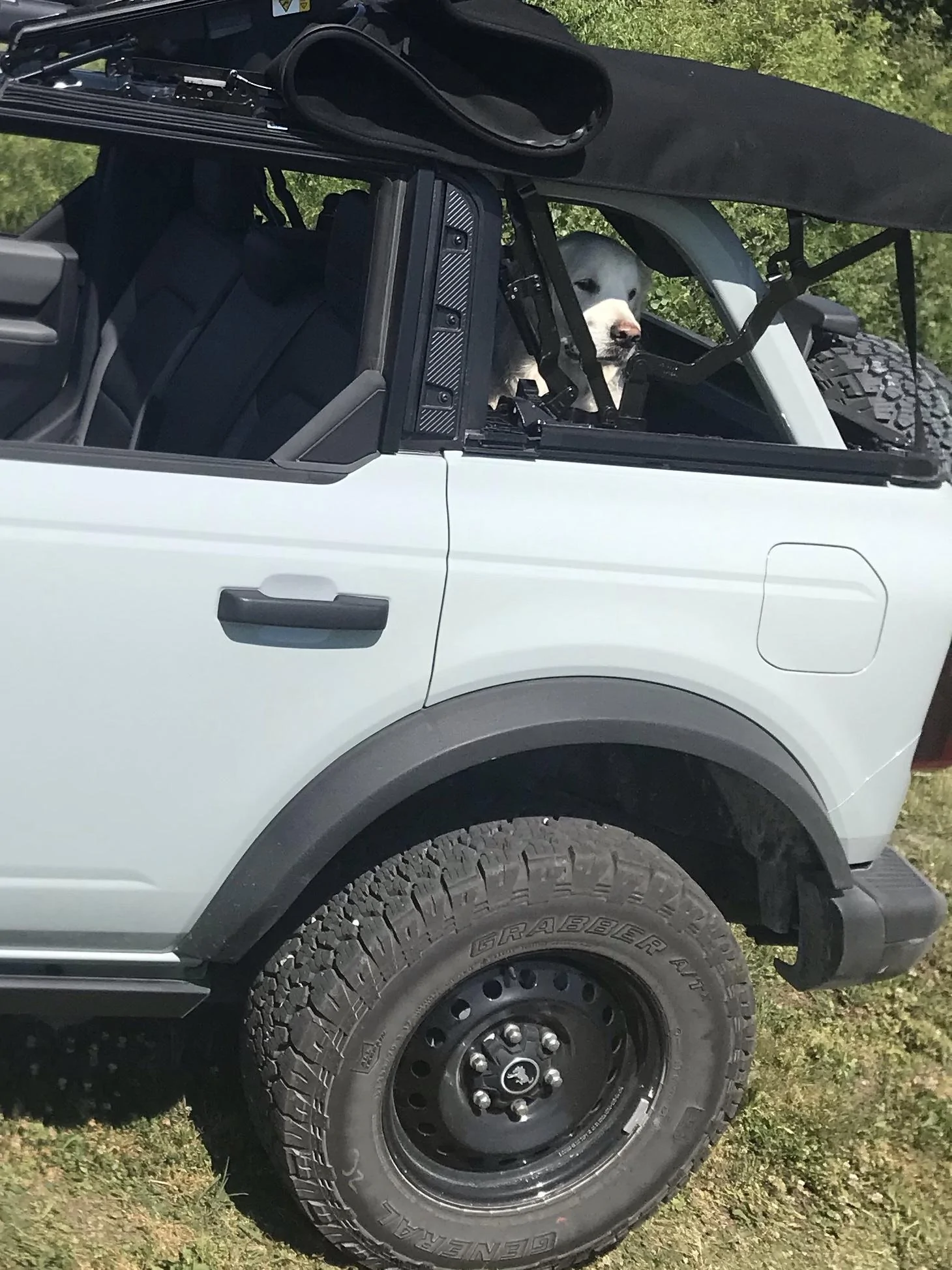 Ford Bronco Ultimate Black Diamond Non-Sasquatch pics thread A4A29146-2C82-459D-BE02-FAAA6E3438A9