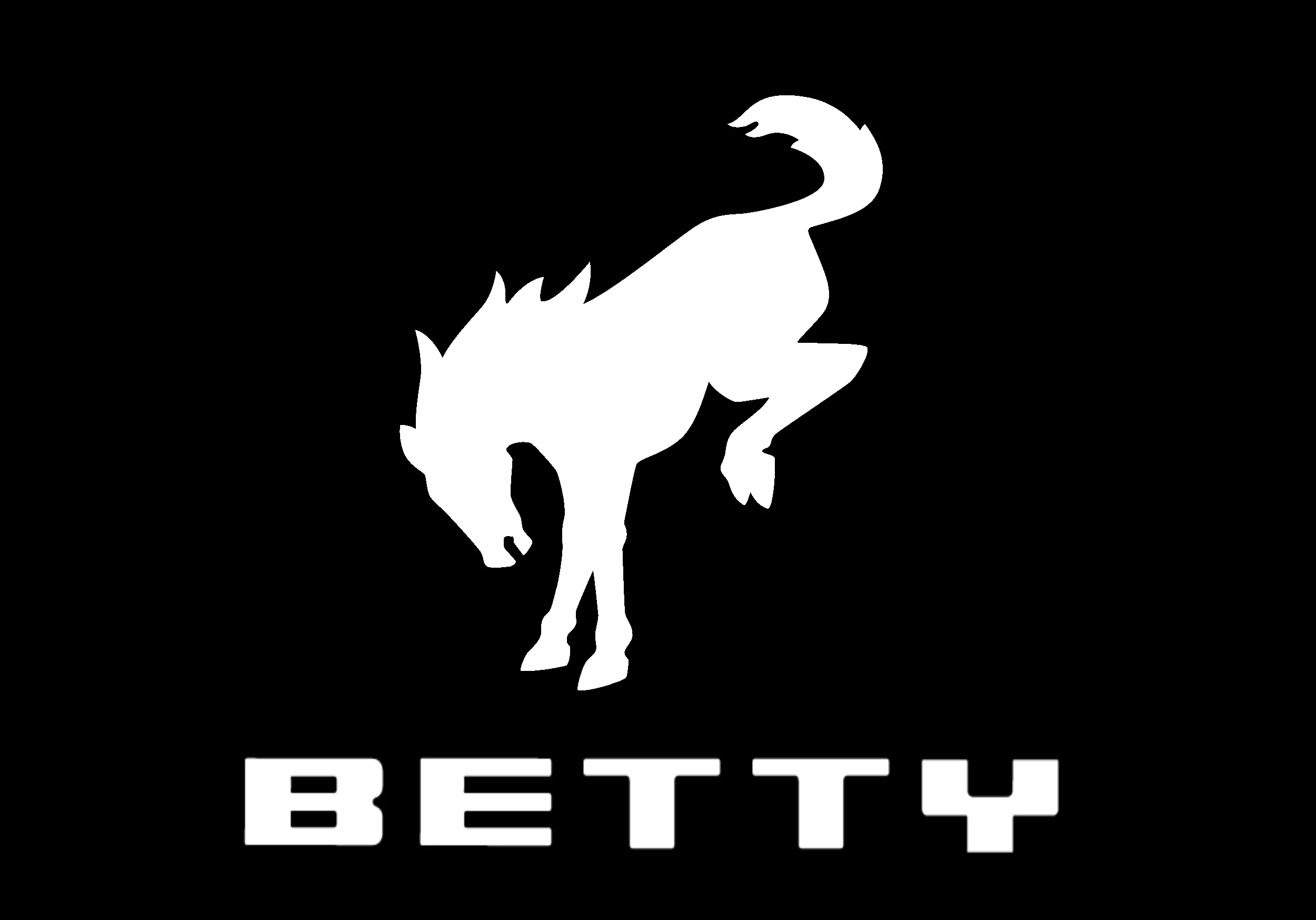 Ford Bronco Bronco Logo Font 1656036872548
