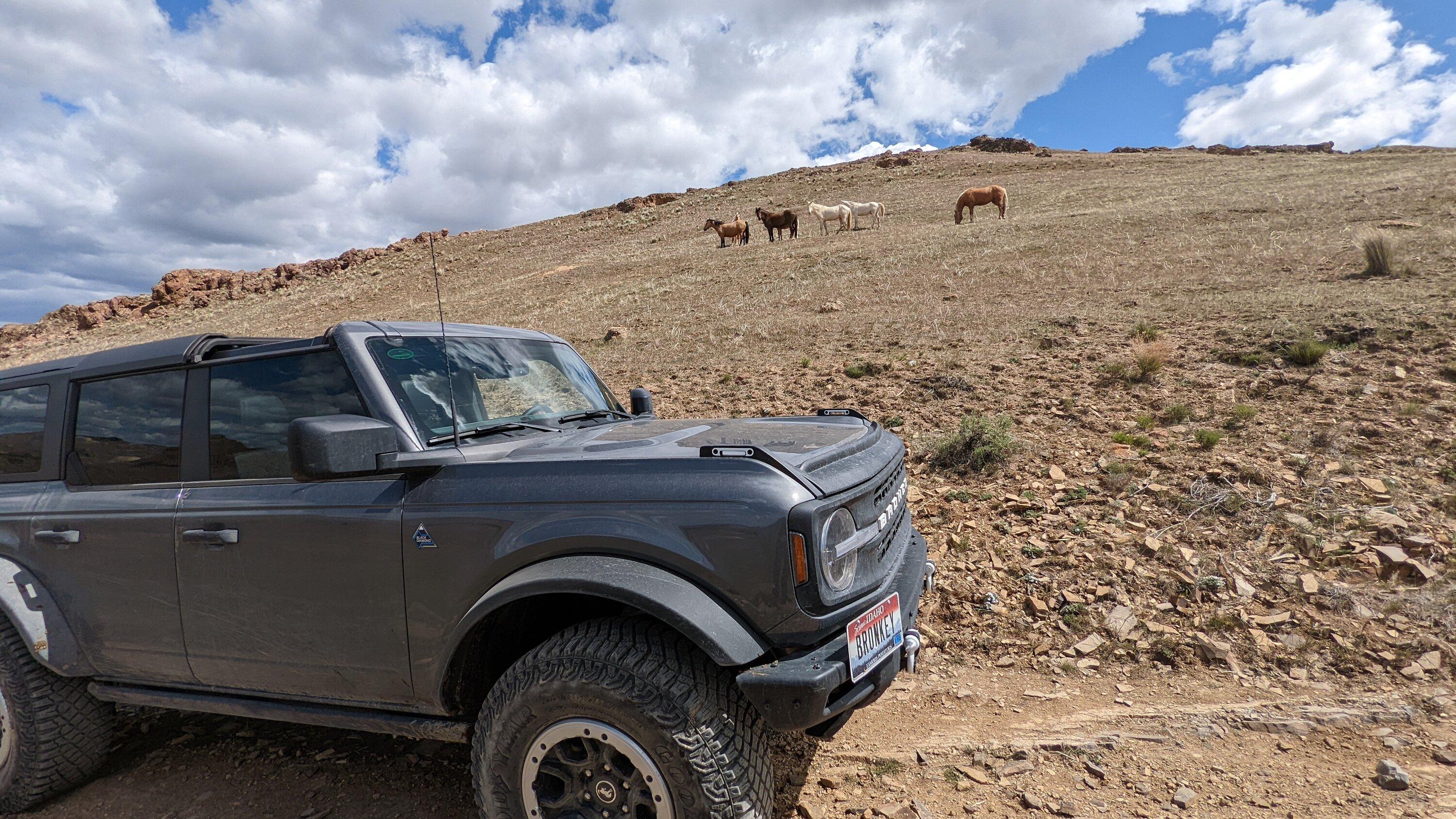 Ford Bronco Free Stuff is Always the Best Stuff! PXL_20220423_194459280