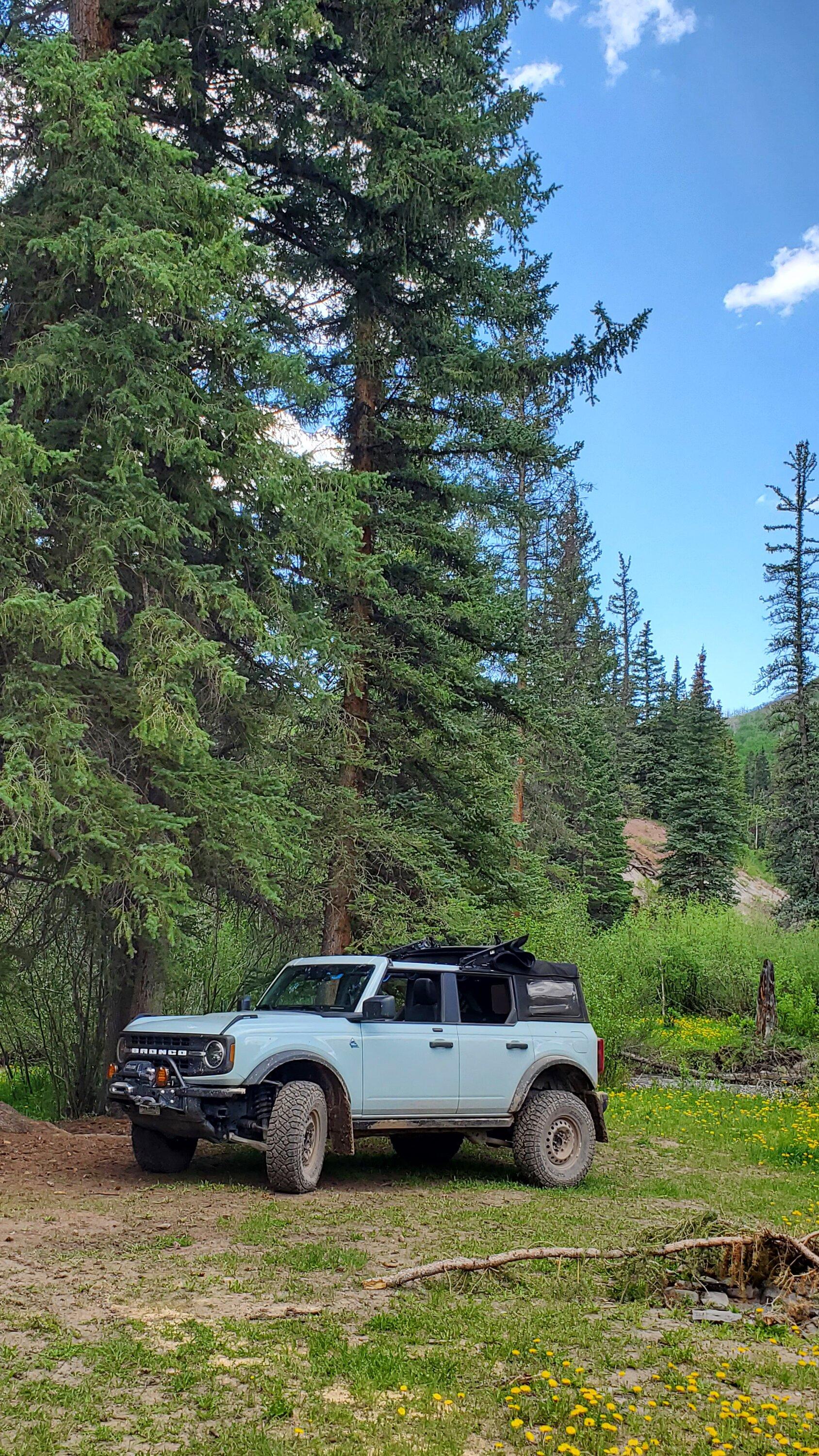 Ford Bronco Cactus Gray question 20220612_122240