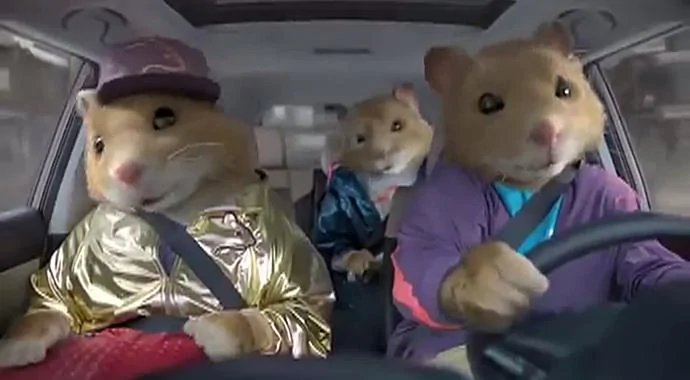 Ford Bronco Dog Options? dancing-hamster-kia